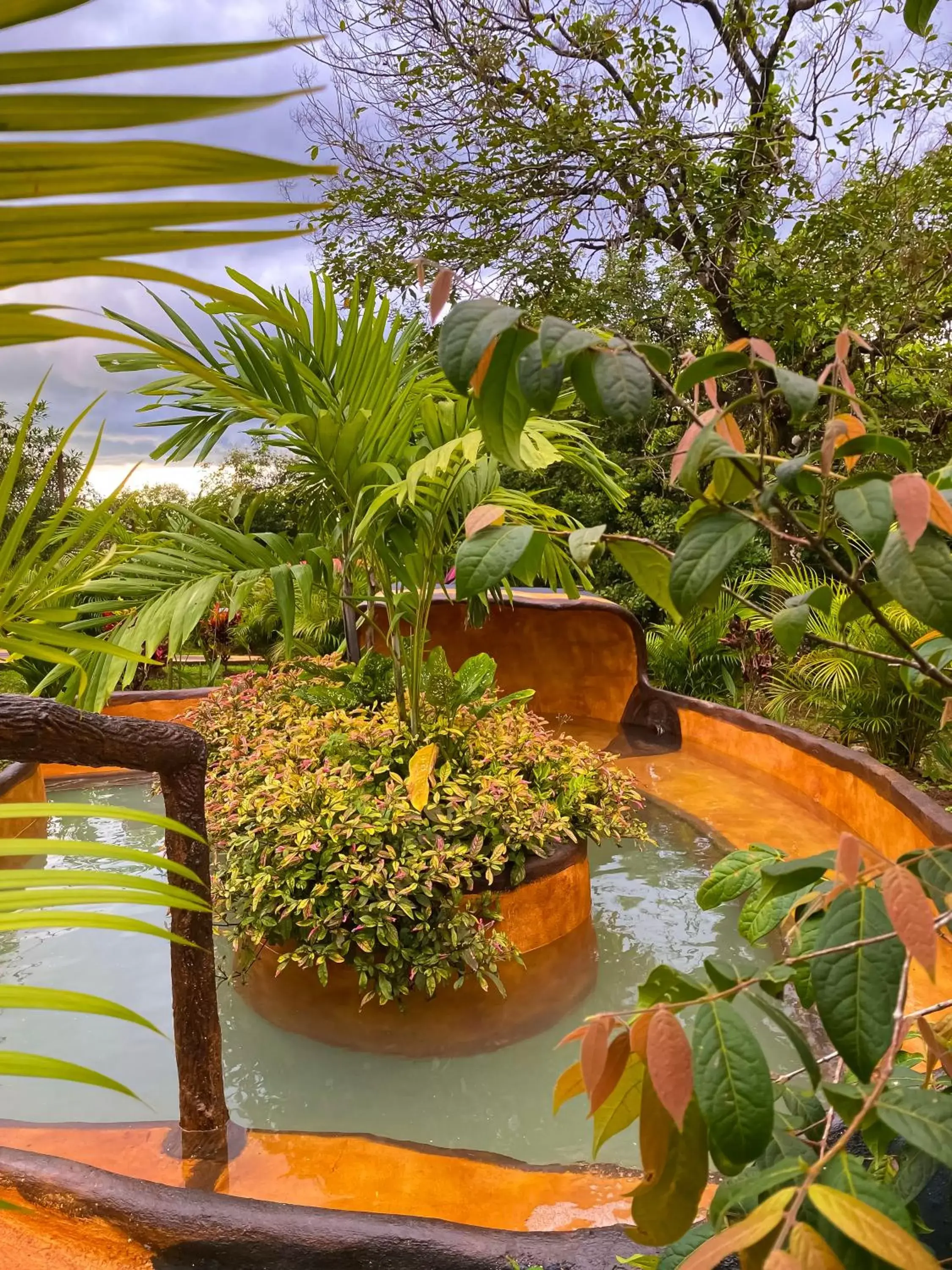 Hot Spring Bath in Hotel Heliconias Nature Inn & Hot Springs