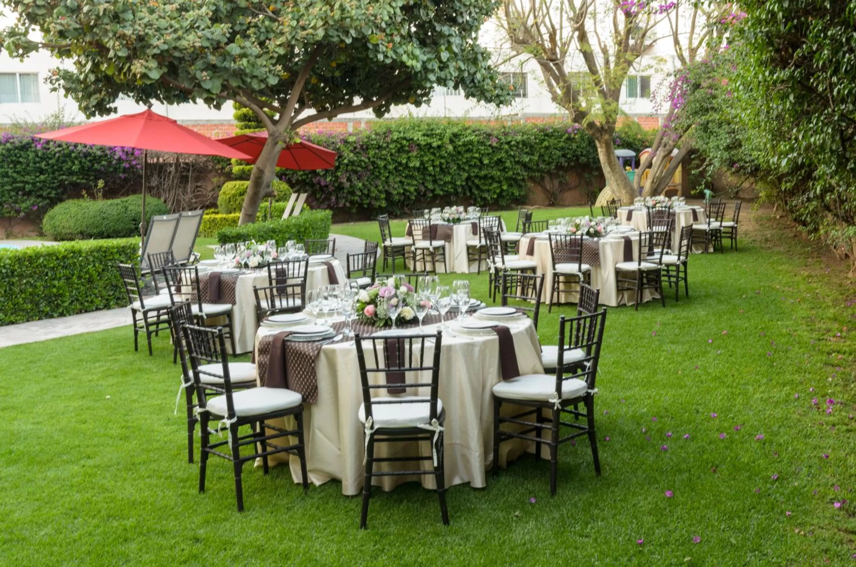 Hotel San Francisco Leon