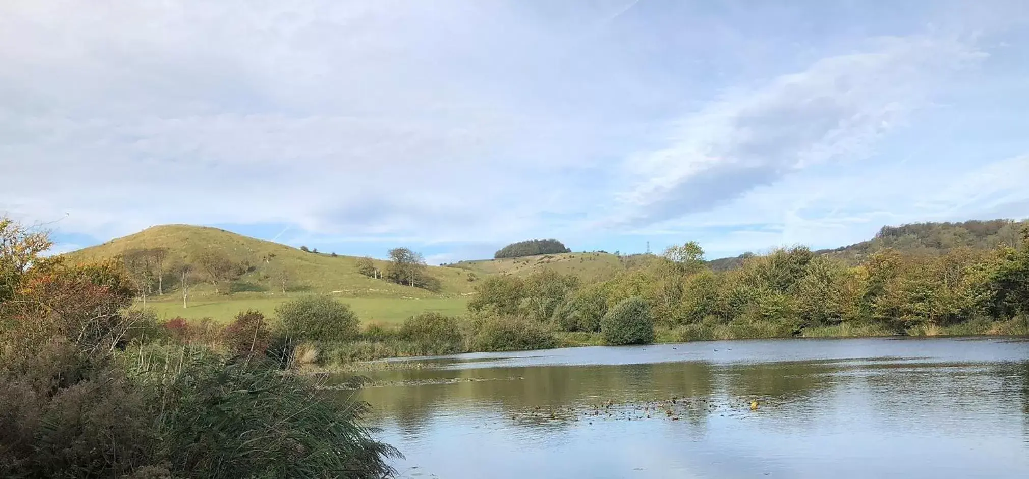 Natural Landscape in Beachborough Park