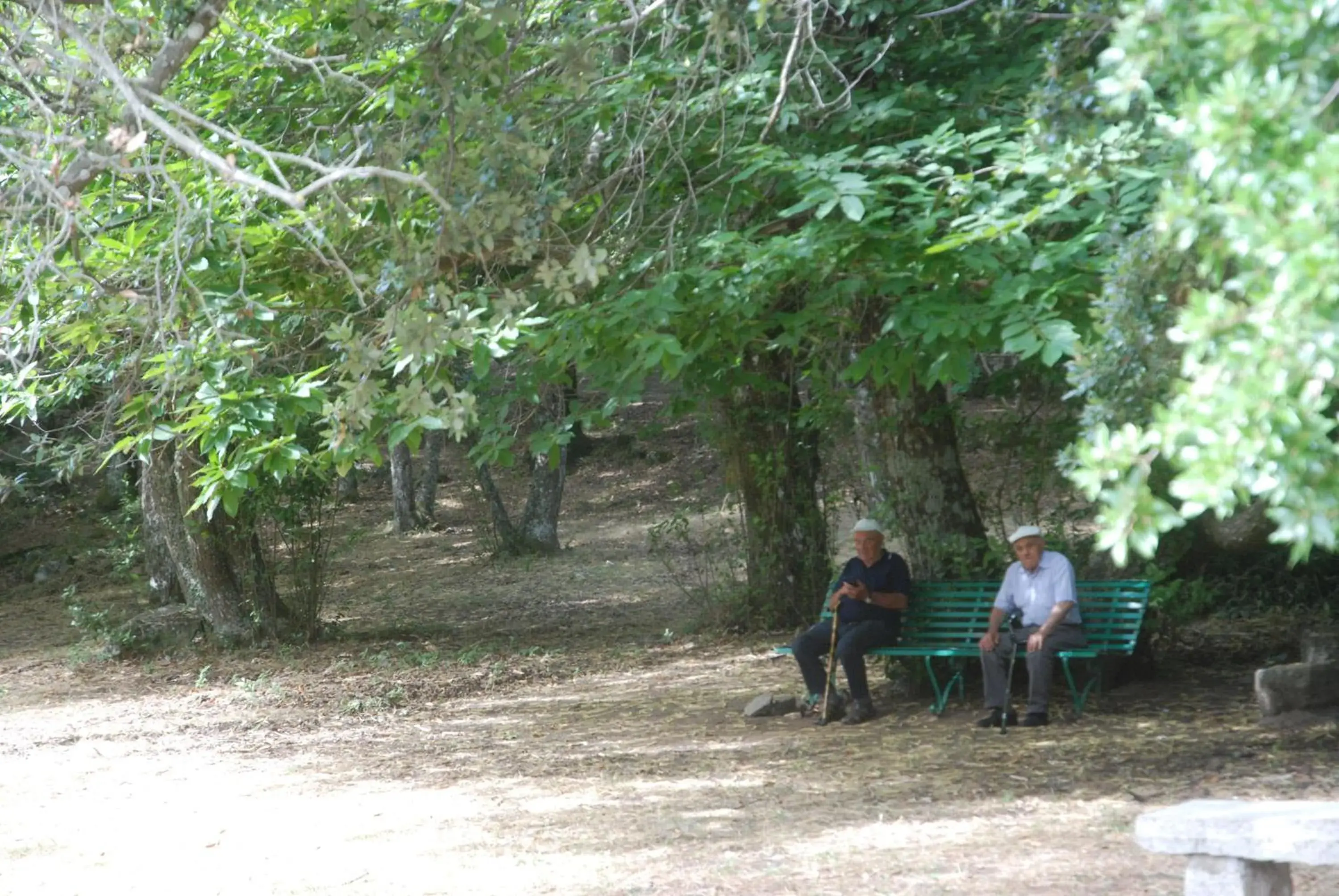 Hotel Bosco Selene