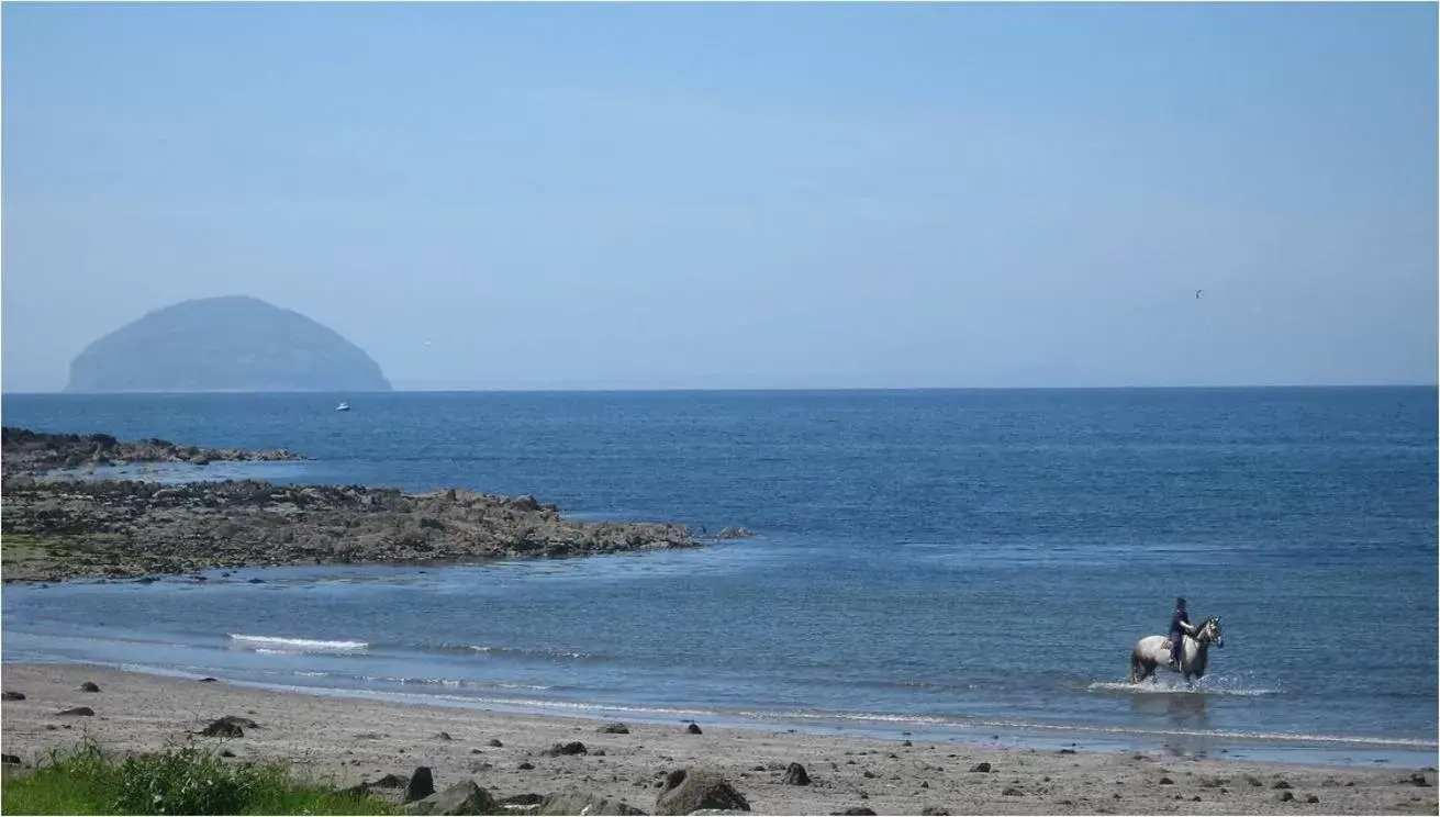 Beach in Woodland Bay Hotel