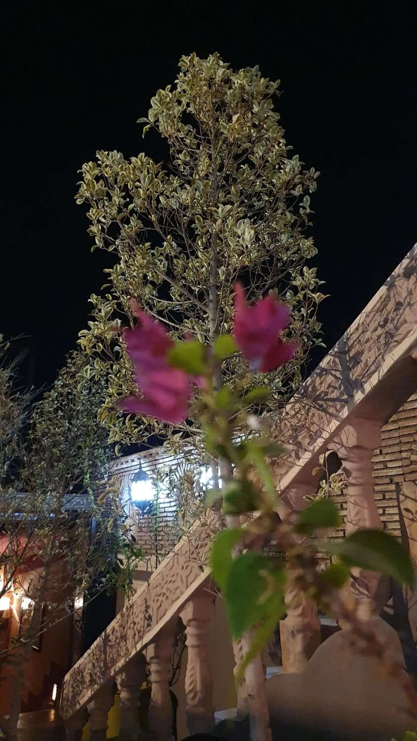 Patio in Riad Mille Et Une Nuits