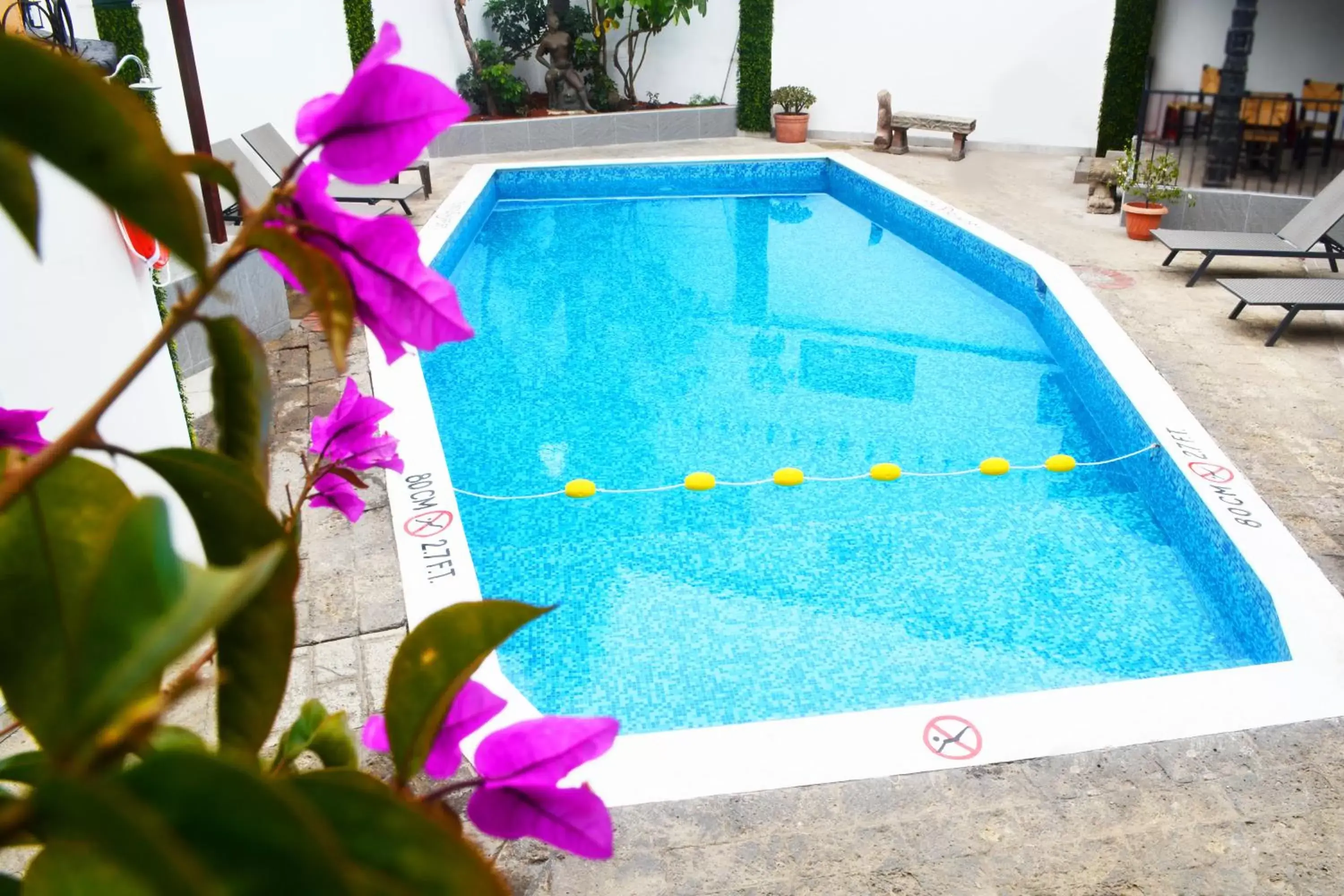 Swimming Pool in Hotel Posada El Rey Sol