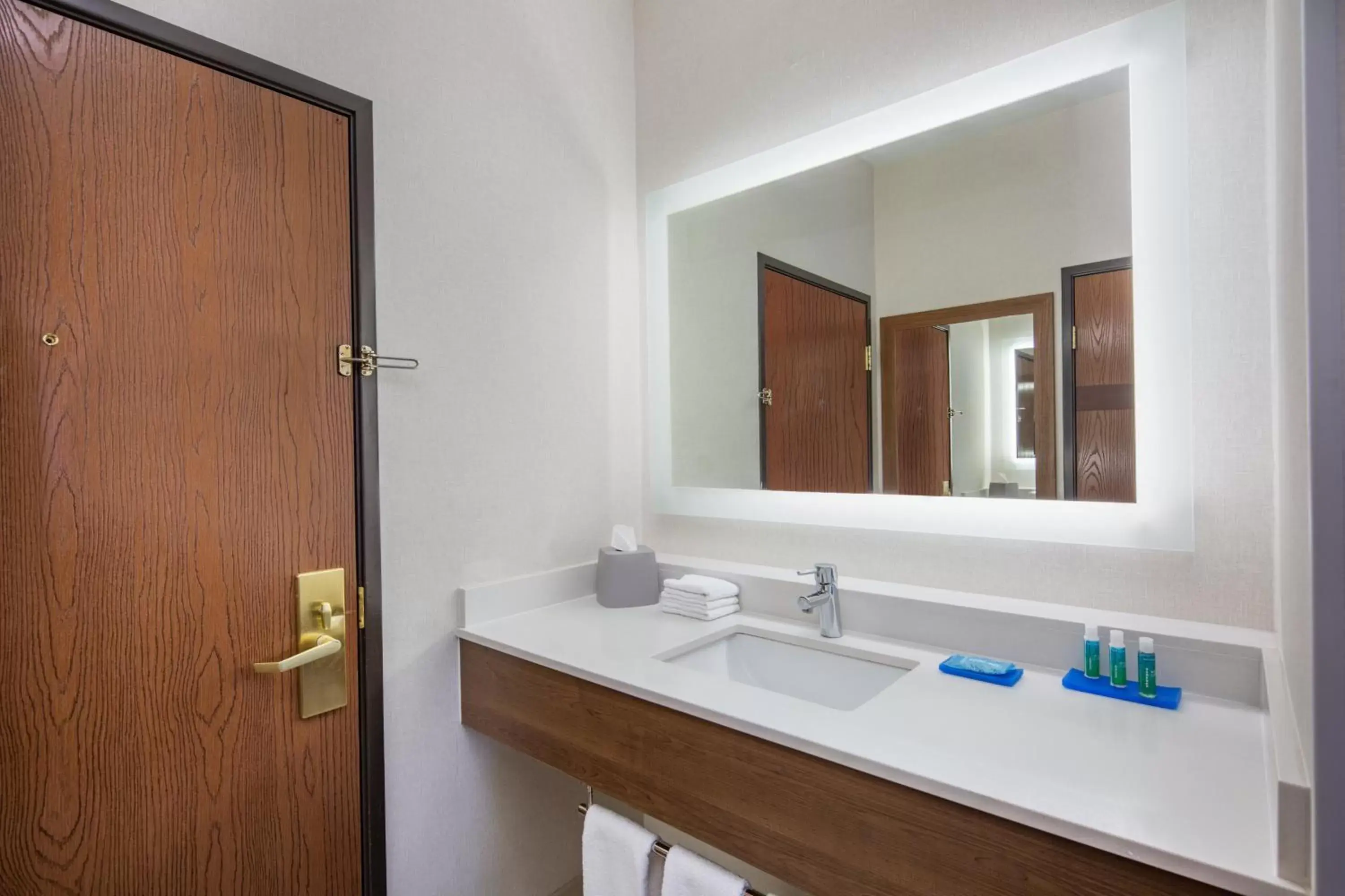Bathroom in Holiday Inn Express Hotel & Suites Bishop, an IHG Hotel