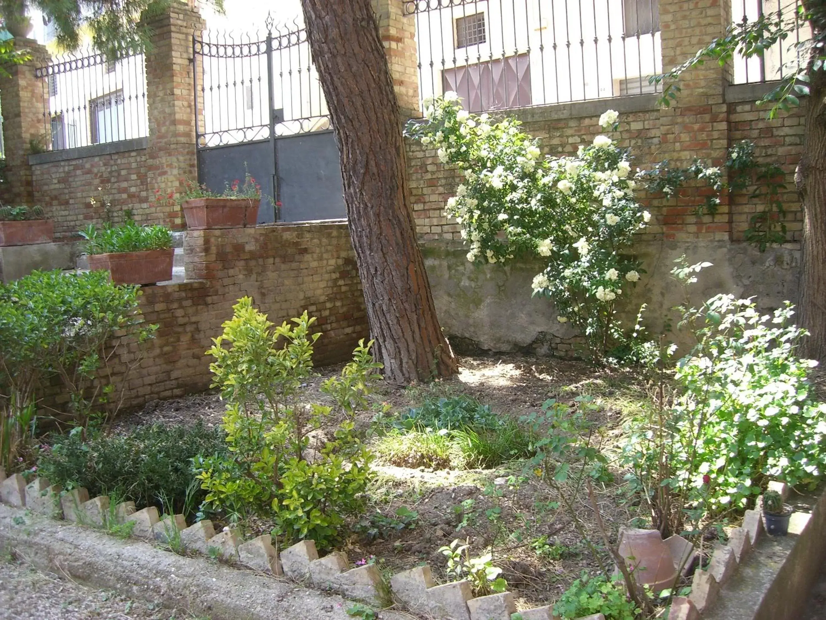 Garden in Villa Genny