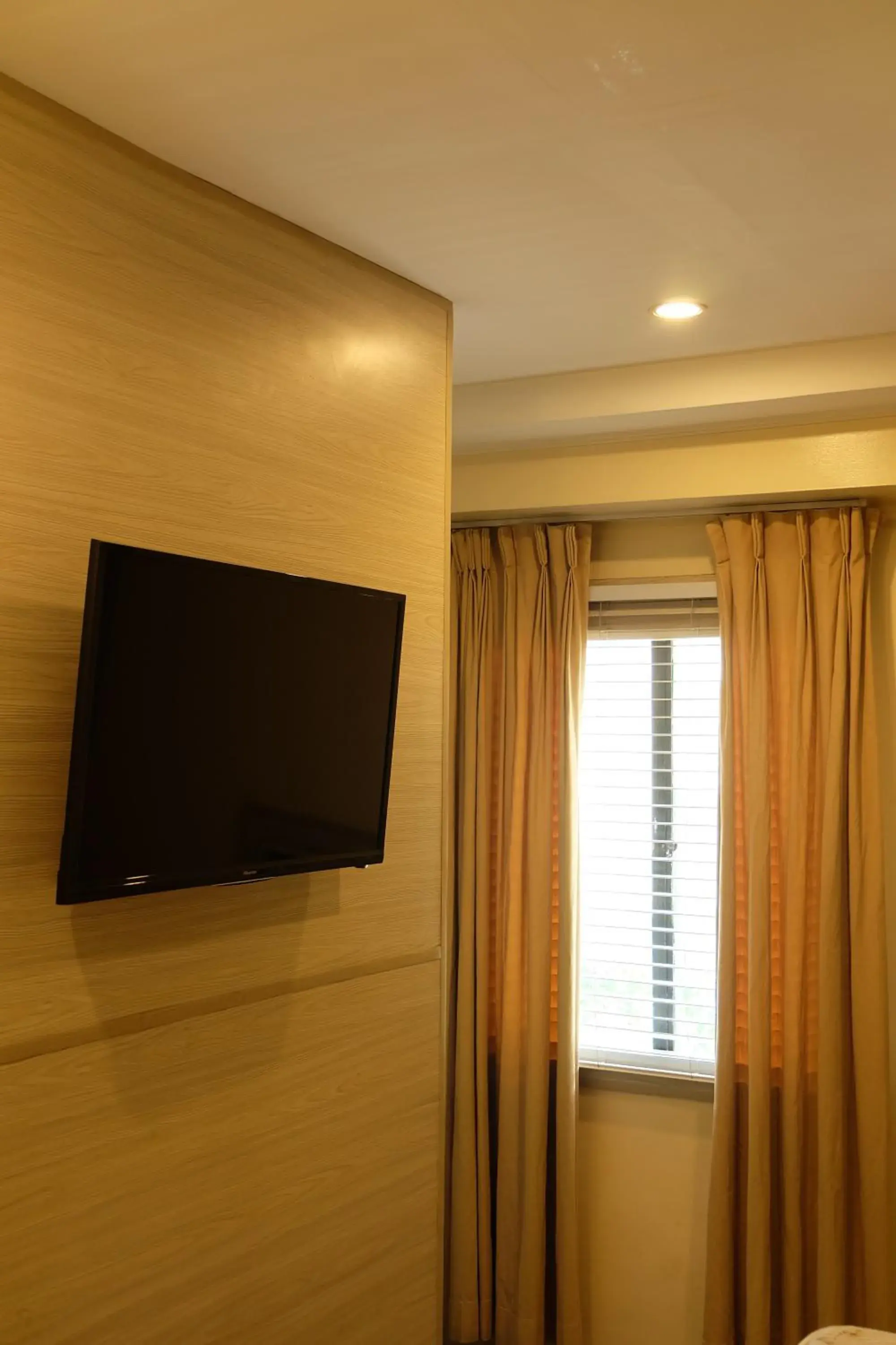 TV and multimedia, TV/Entertainment Center in Spaces Hotel Makati - People & Pets