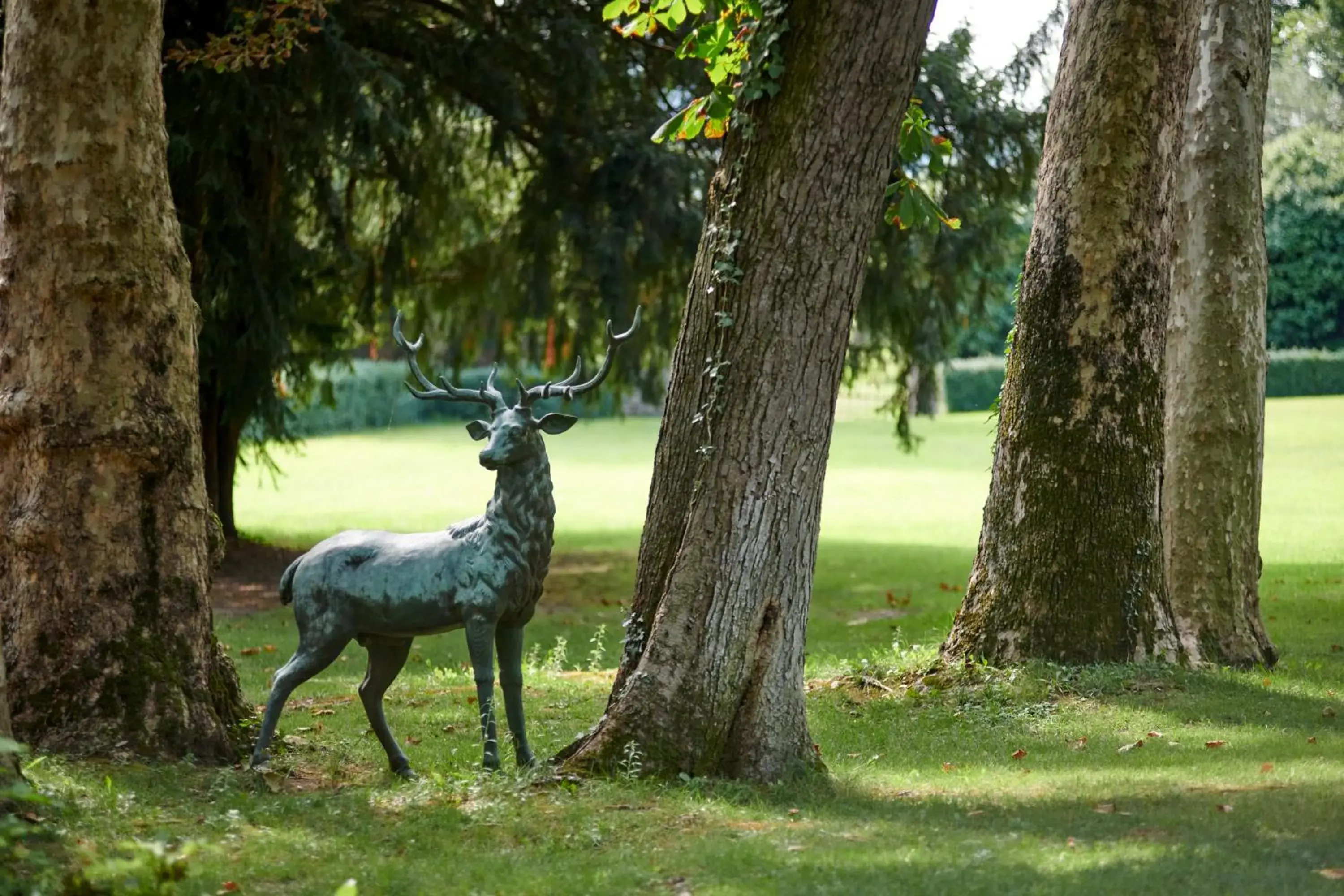 Garden view, Other Animals in Villa Cordevigo Wine Relais