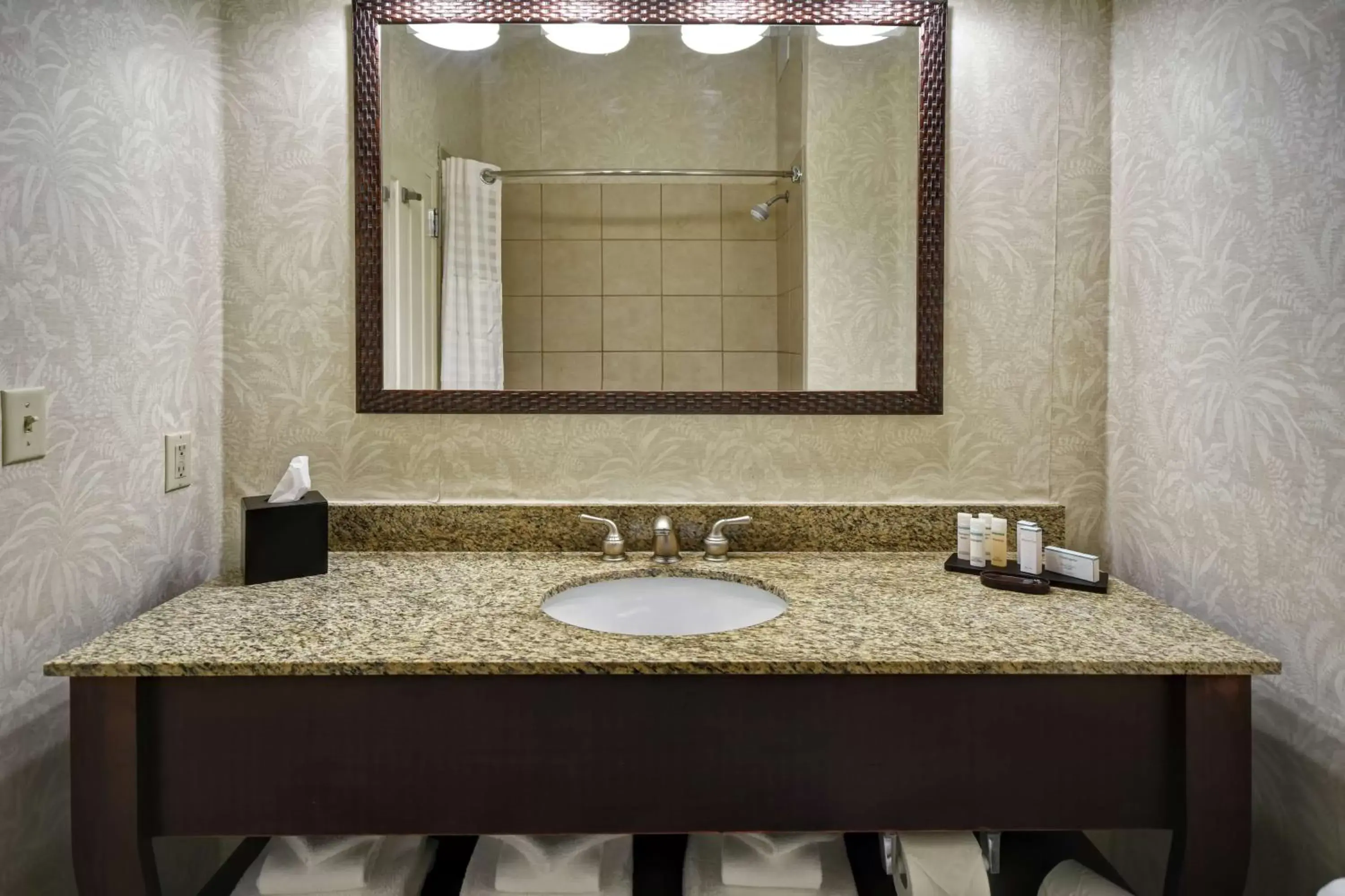 Bathroom in Embassy Suites Charleston - Historic District