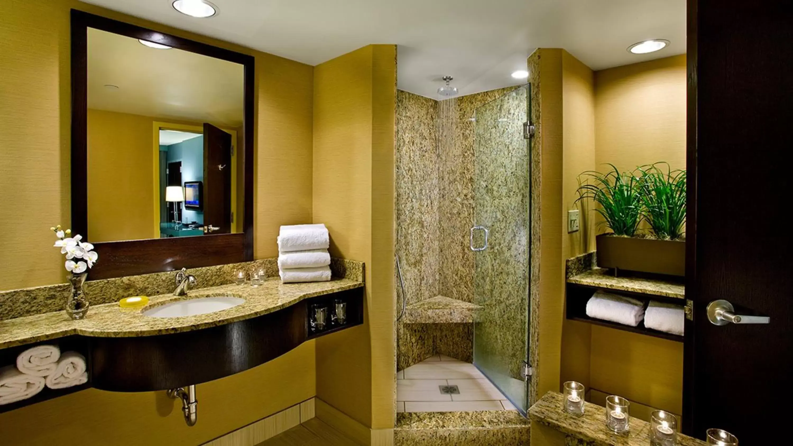 Photo of the whole room, Bathroom in Crowne Plaza Hotel Glen Ellyn/Lombard, an IHG Hotel