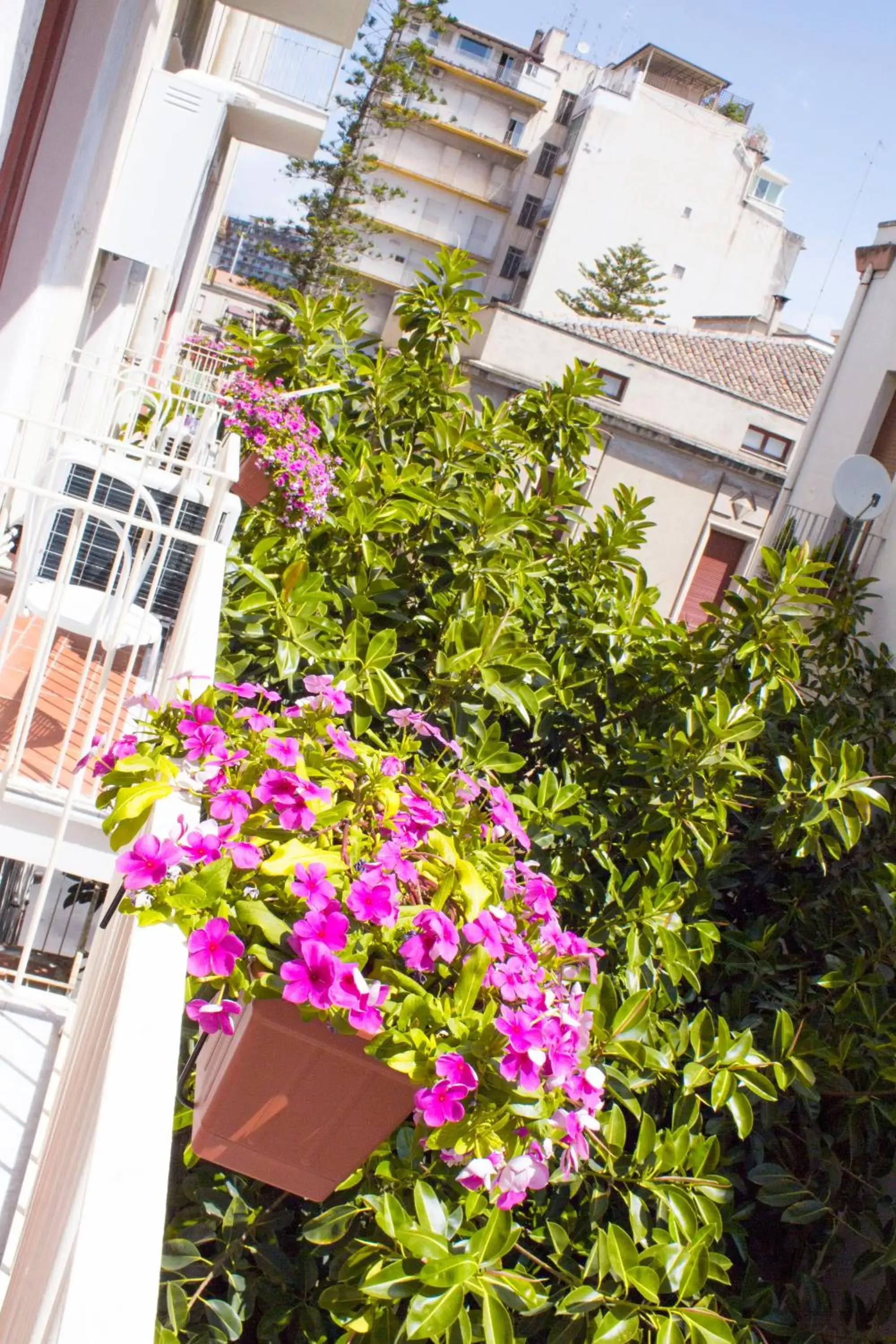 Balcony/Terrace in B&B Miro Centro Catania