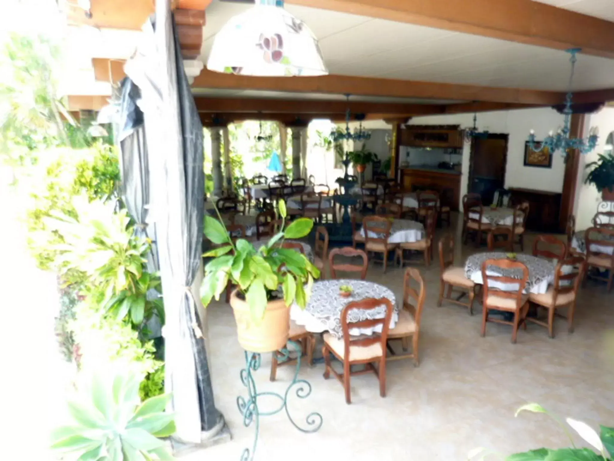 Lounge or bar, Restaurant/Places to Eat in Hotel Bajo el Volcan