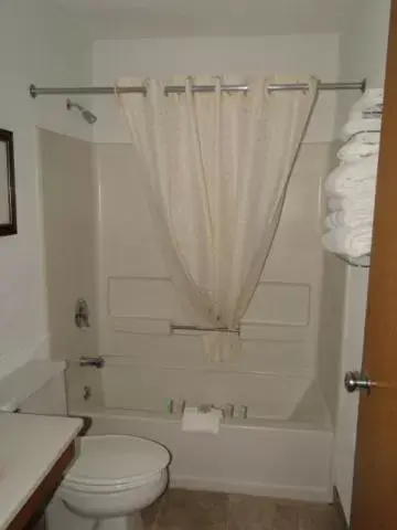 Shower, Bathroom in Oscoda Lakeside Hotel