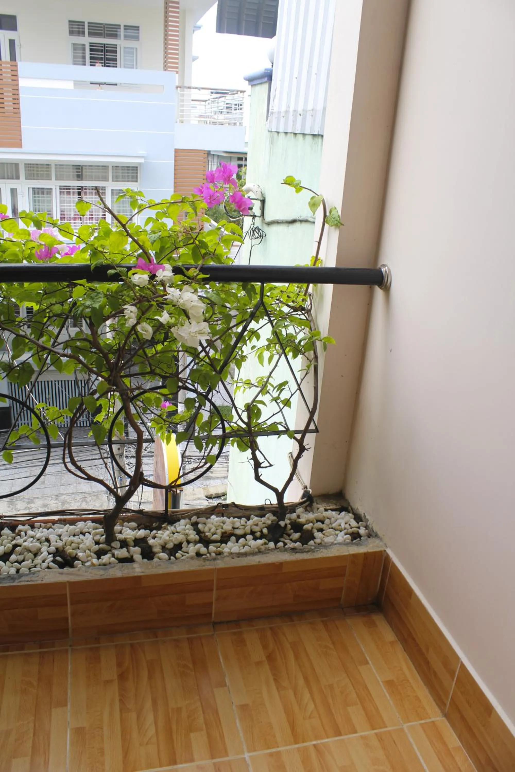 Balcony/Terrace in Spring Hotel