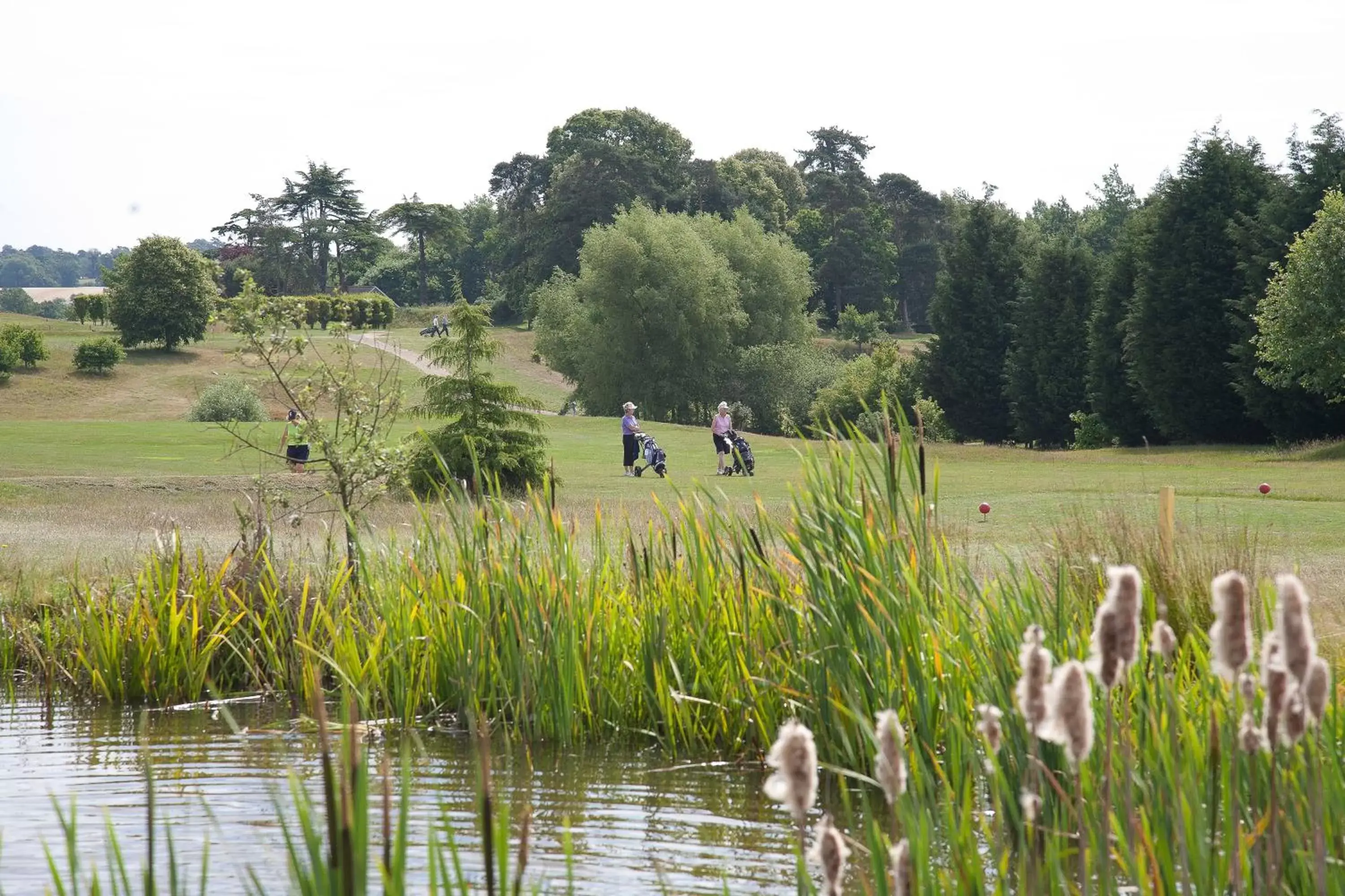 Activities, Other Animals in Ufford Park Hotel, Golf & Spa