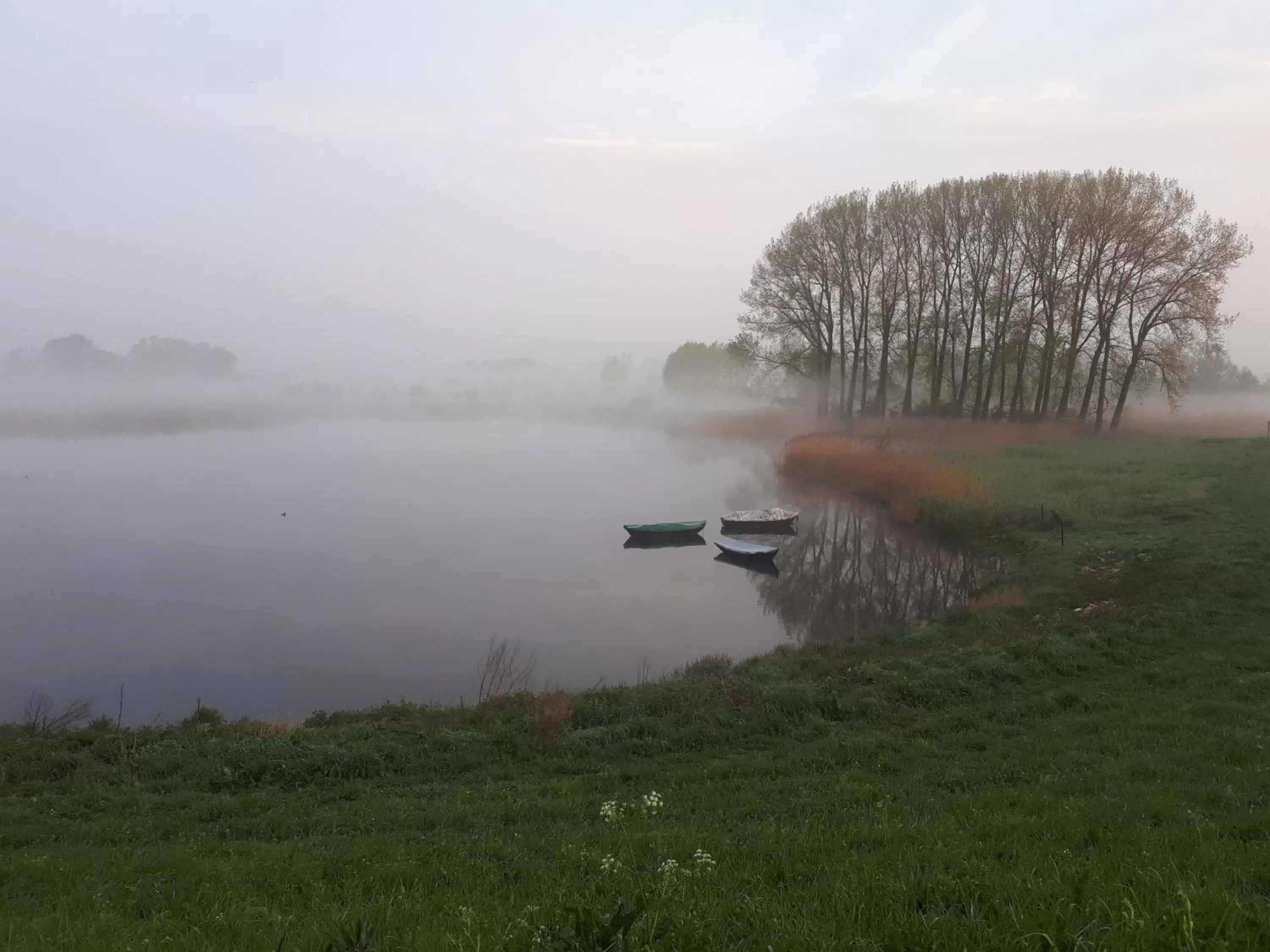 Natural landscape in Casa Tranquila