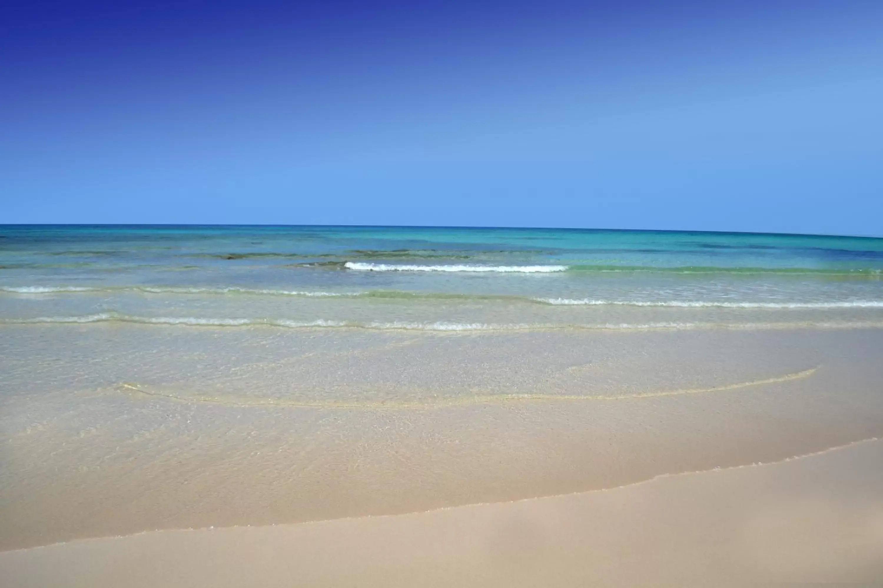 Natural landscape, Beach in Alua Suites Fuerteventura - All Inclusive