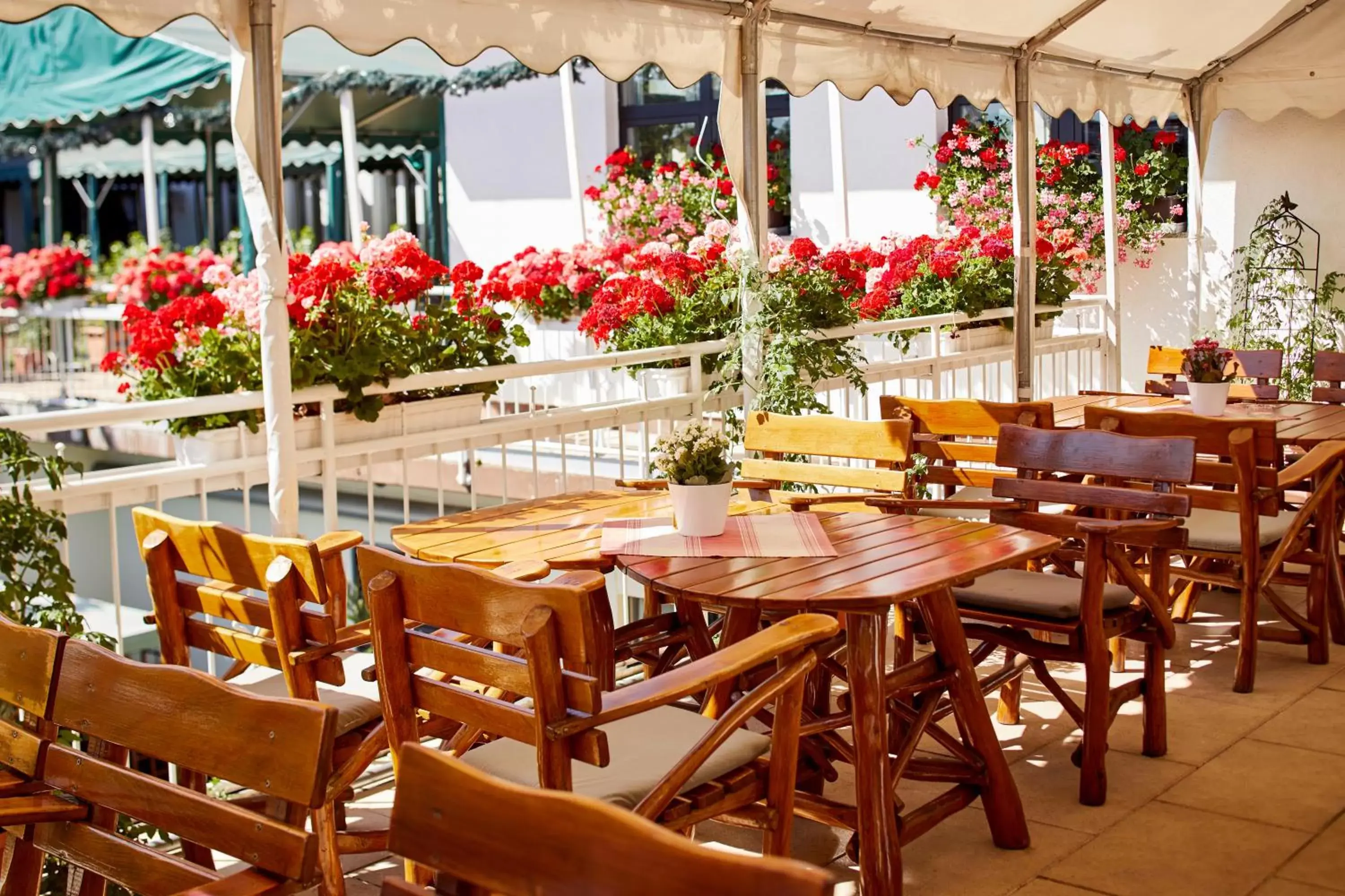 Balcony/Terrace, Restaurant/Places to Eat in Sonnenhof