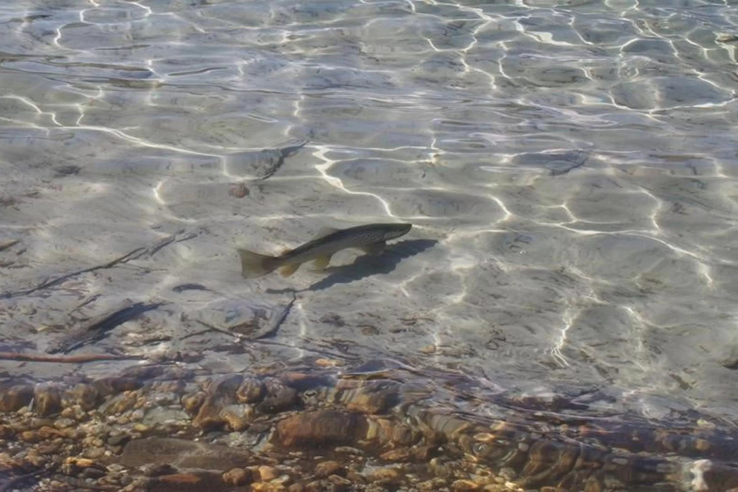 Fishing in The Moorings Motel and Apartments