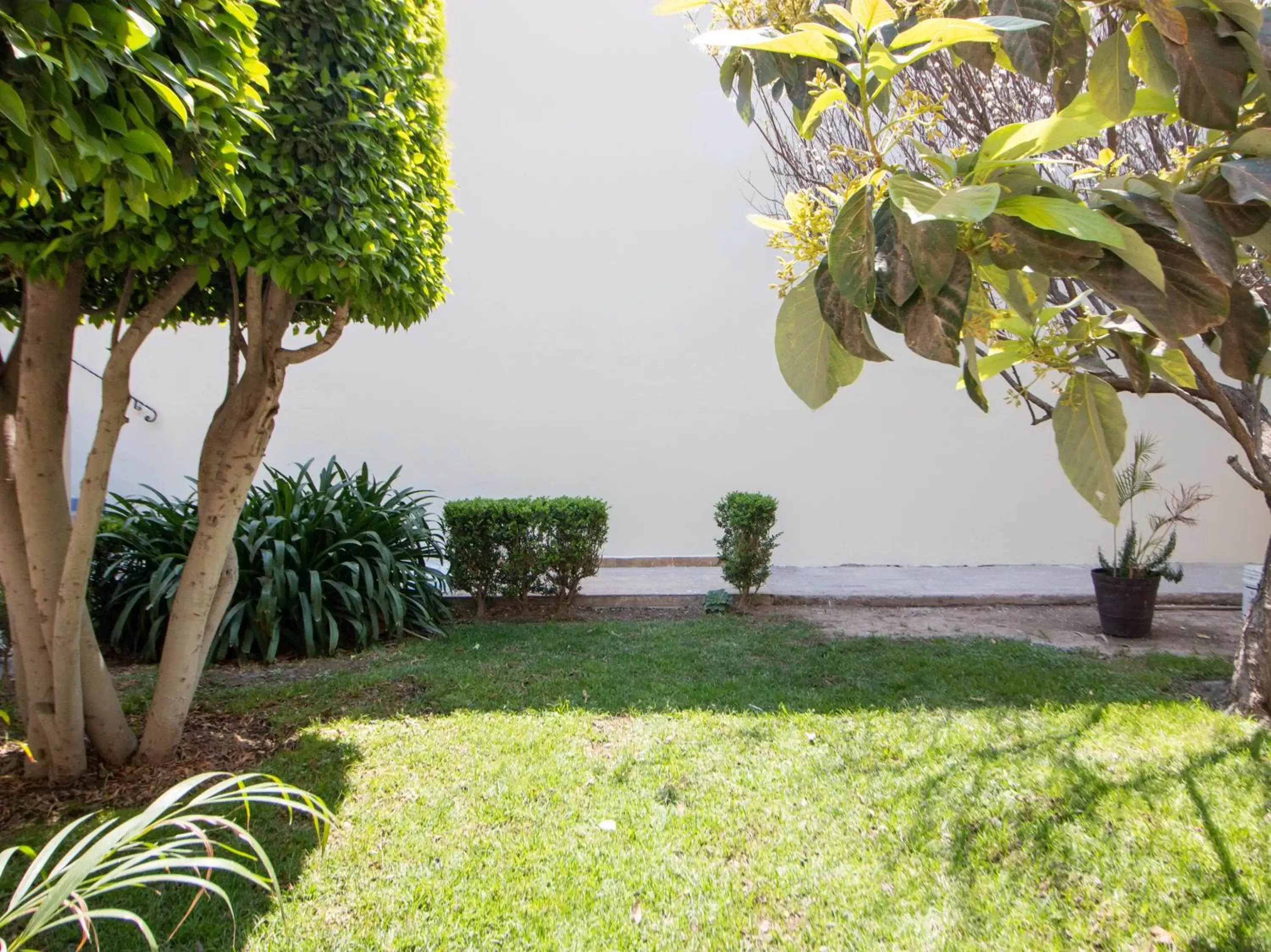 Garden in Capital O San Jose, San Luis Potosi