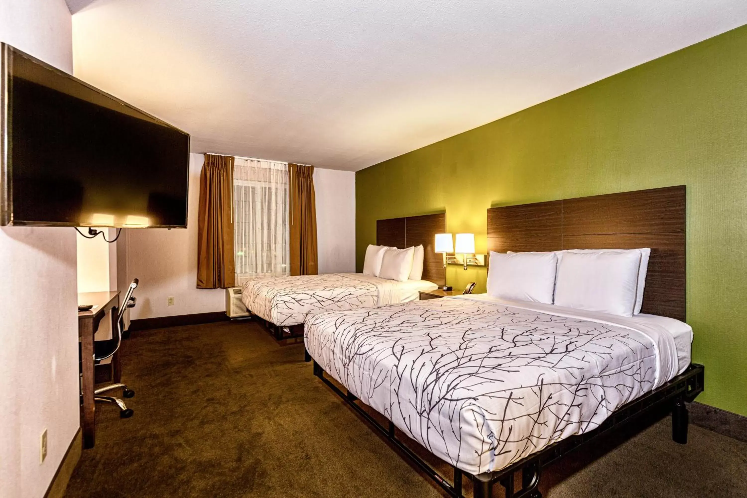 Bed in SureStay Plus Hotel by Best Western SeaTac Airport