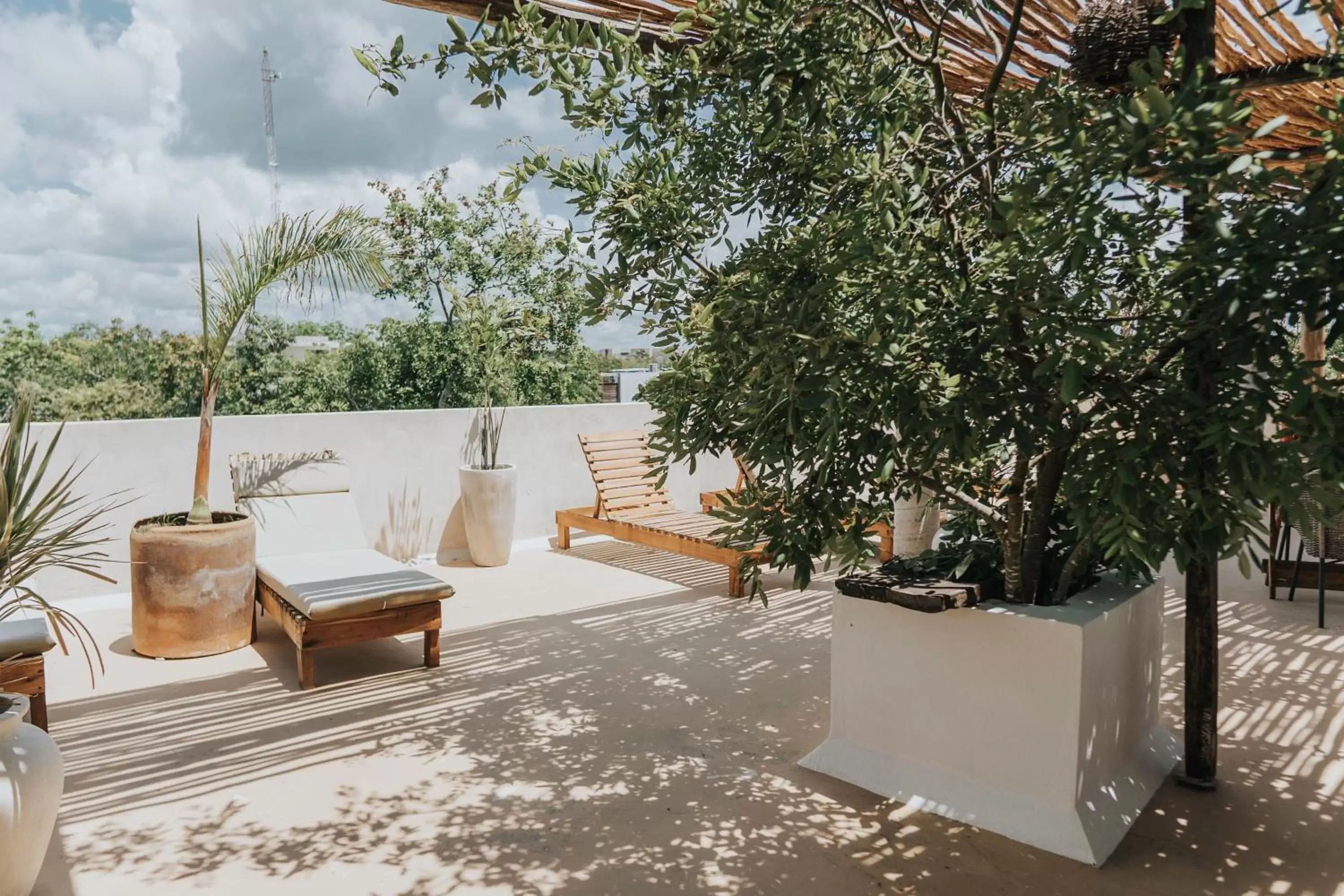 Balcony/Terrace in Koos Hotel Tulum