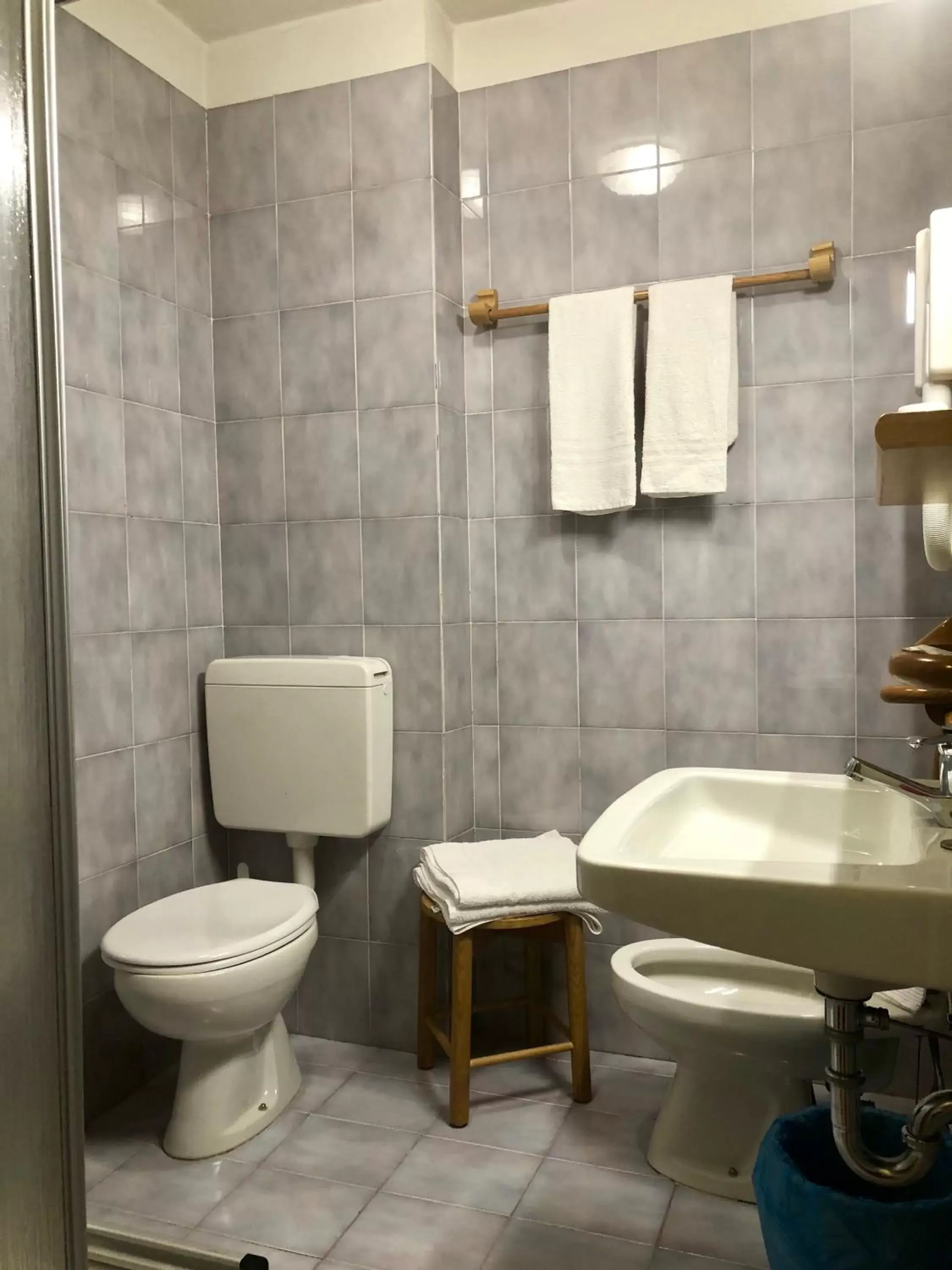 Toilet, Bathroom in Hotel Zeni
