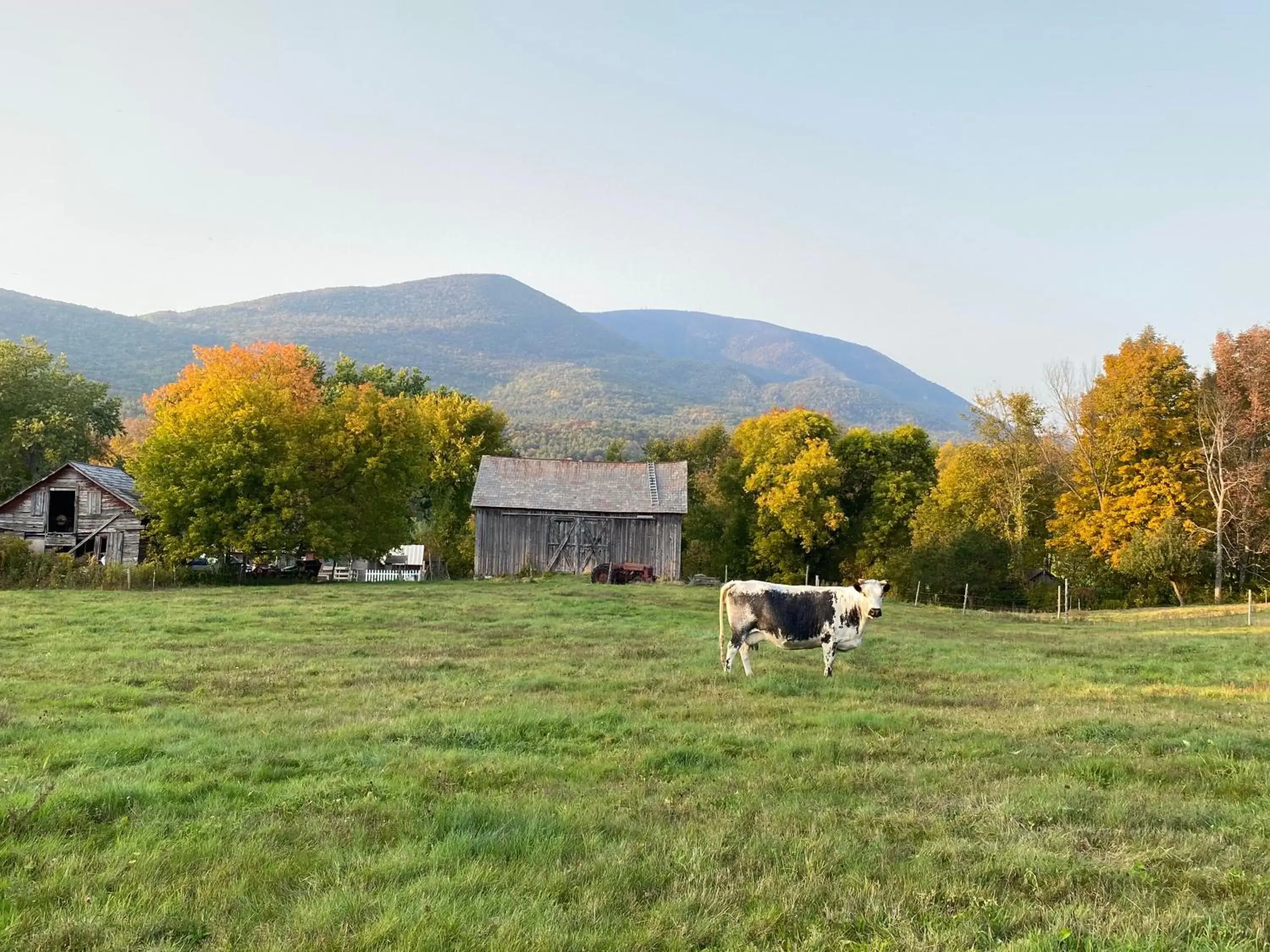 Arcady Mountain Motor Lodge