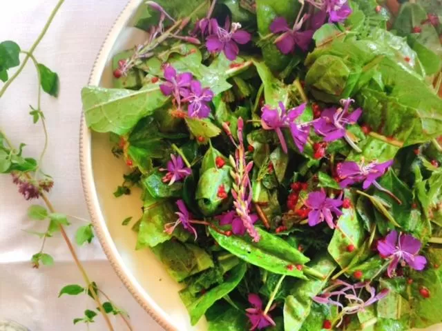 Spring in Baggå Skola BnB & Café