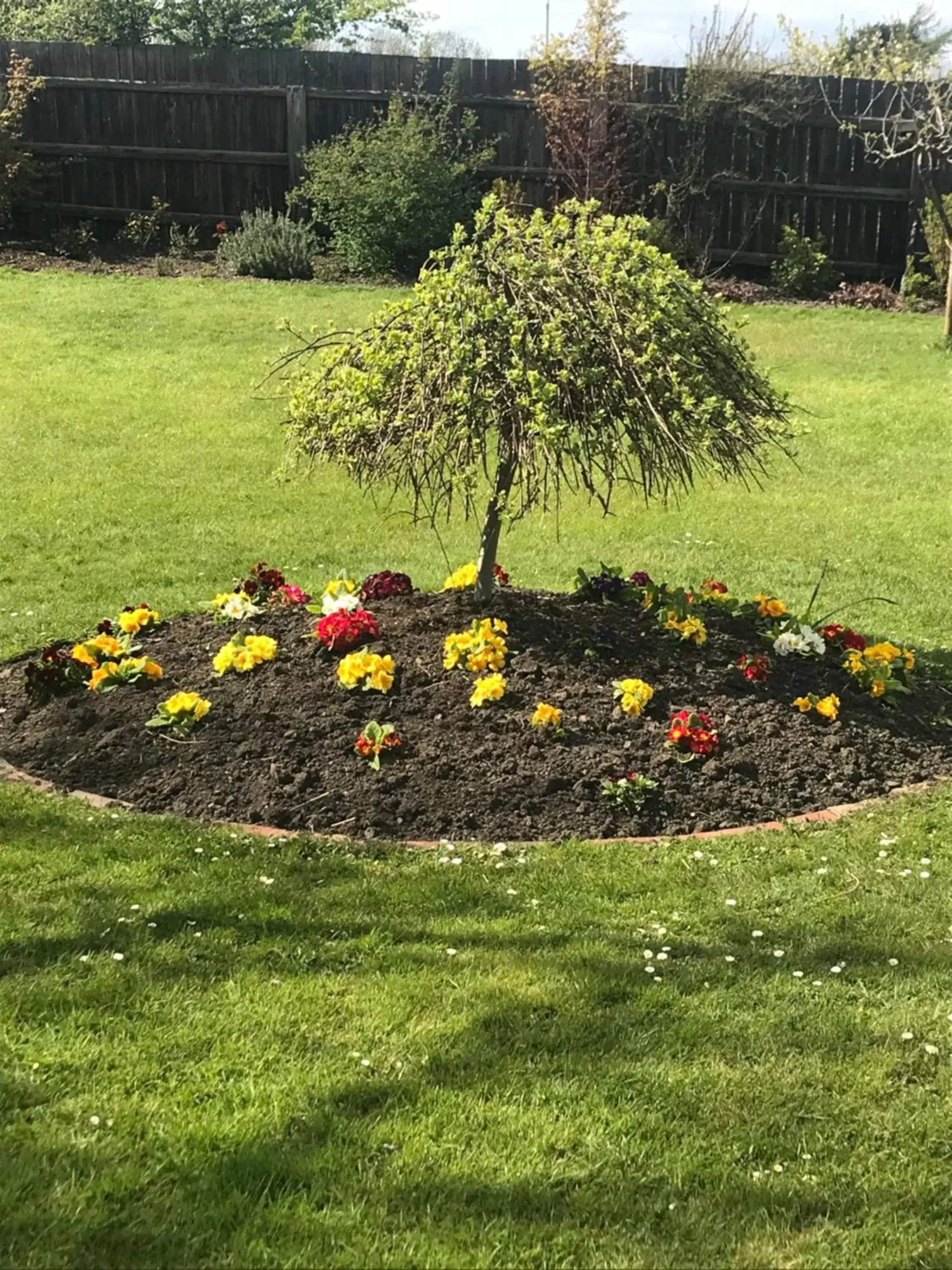 Garden in The Ball Alley