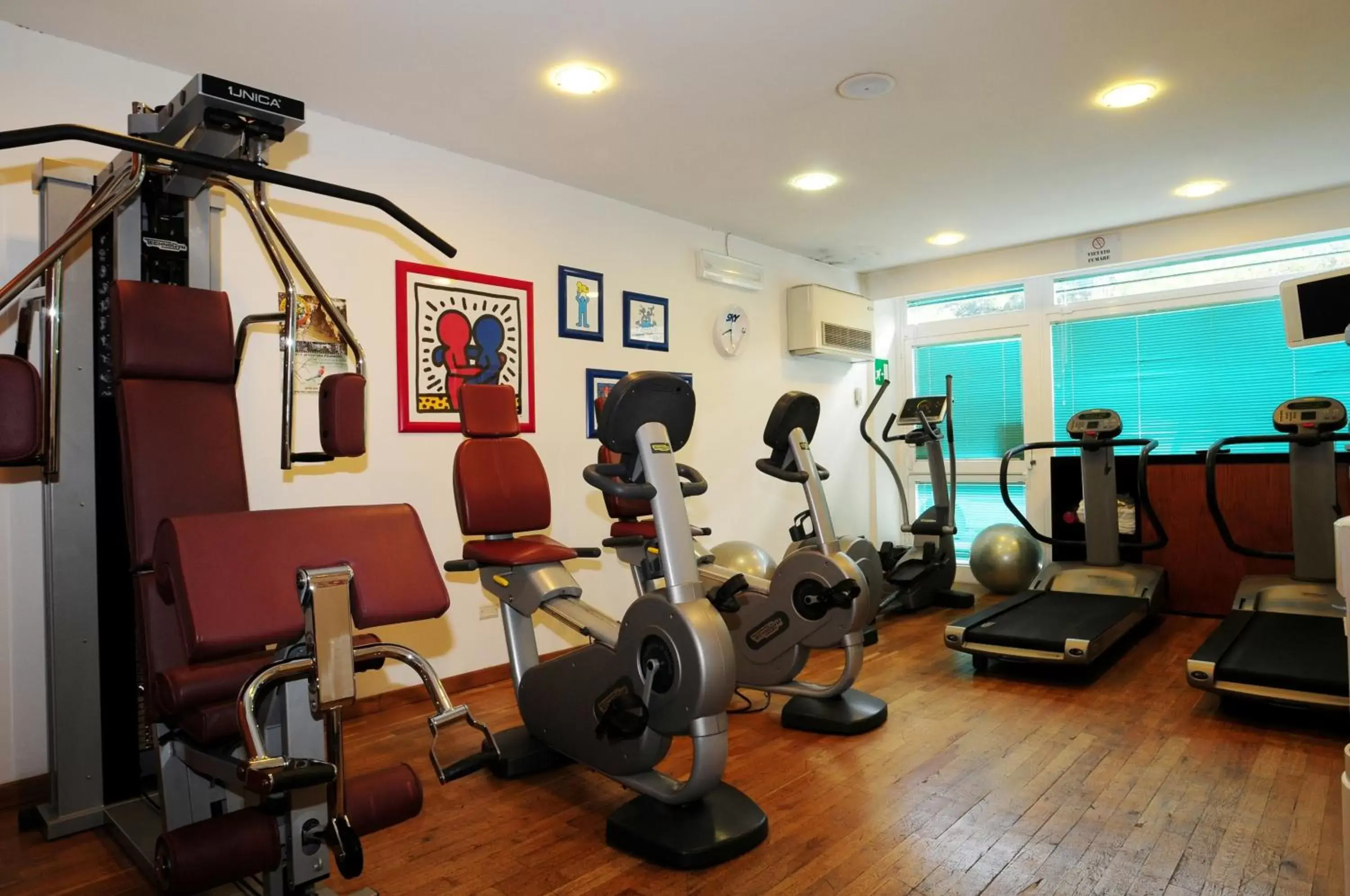 Fitness centre/facilities, Fitness Center/Facilities in Hotel Excelsior