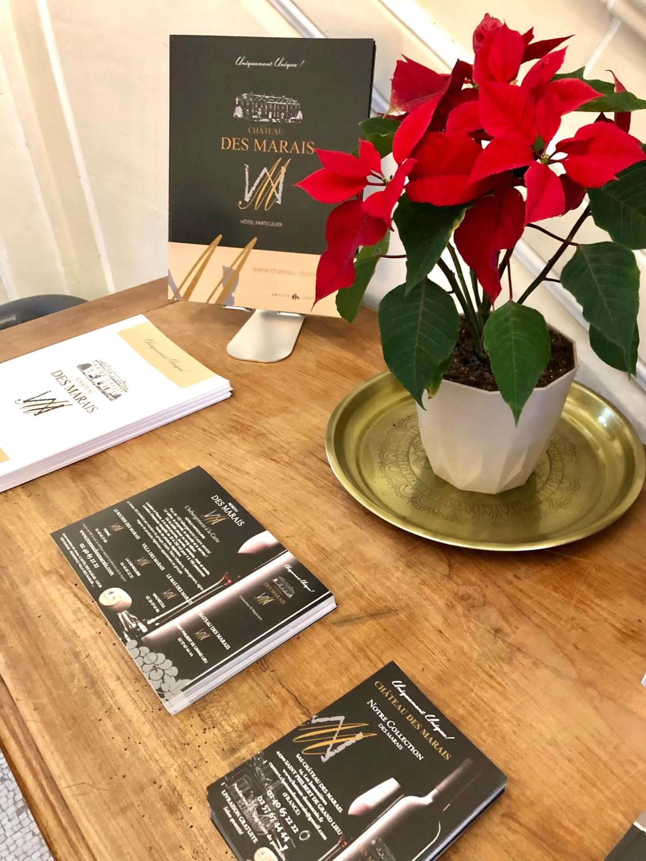 Business facilities in Hôtel Particulier CHÂTEAU DES MARAIS Proximité et vue sur le Lac de Grand lieu