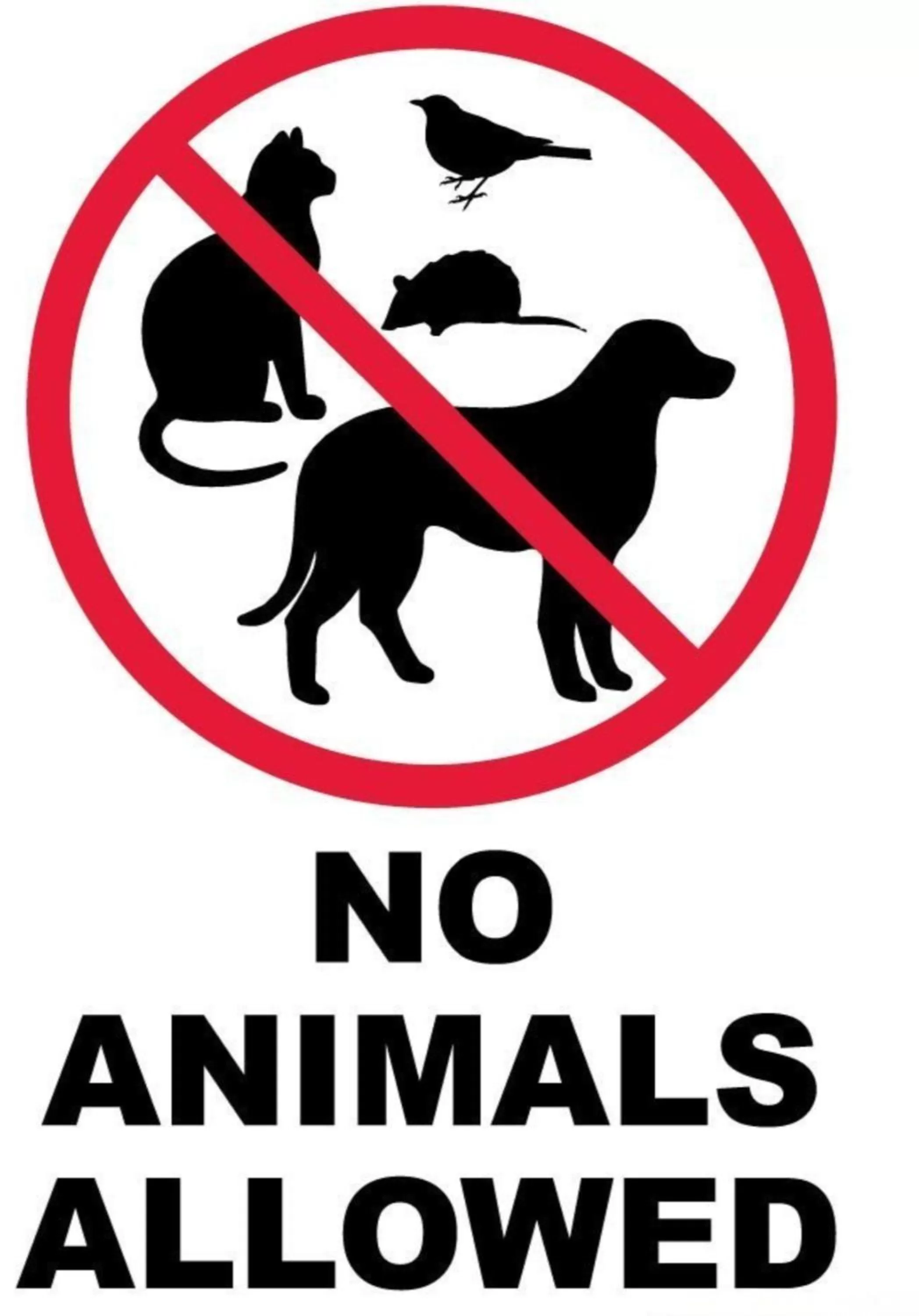 Property logo or sign in Queen City Inn