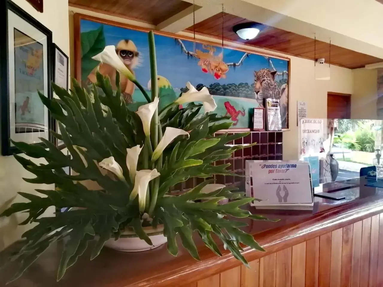 Lobby or reception in Amapola Resort Lobby or reception in Amapola Resort