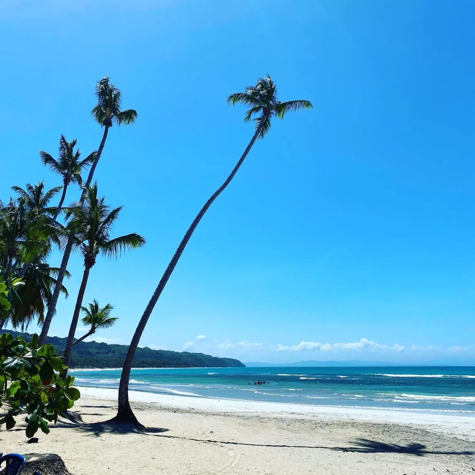 Beach in Hotel La Tortuga