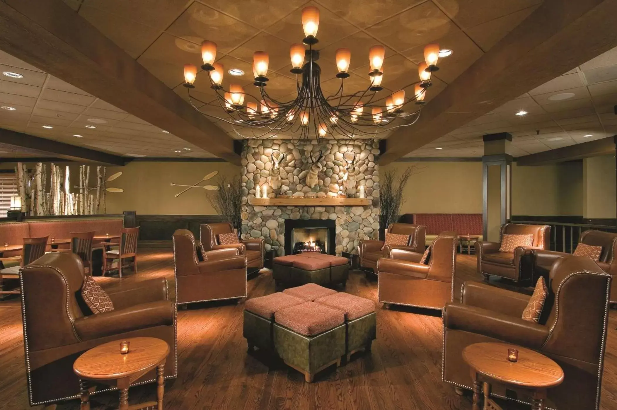 Restaurant/places to eat, Lounge/Bar in DoubleTree by Hilton Chicago - Arlington Heights