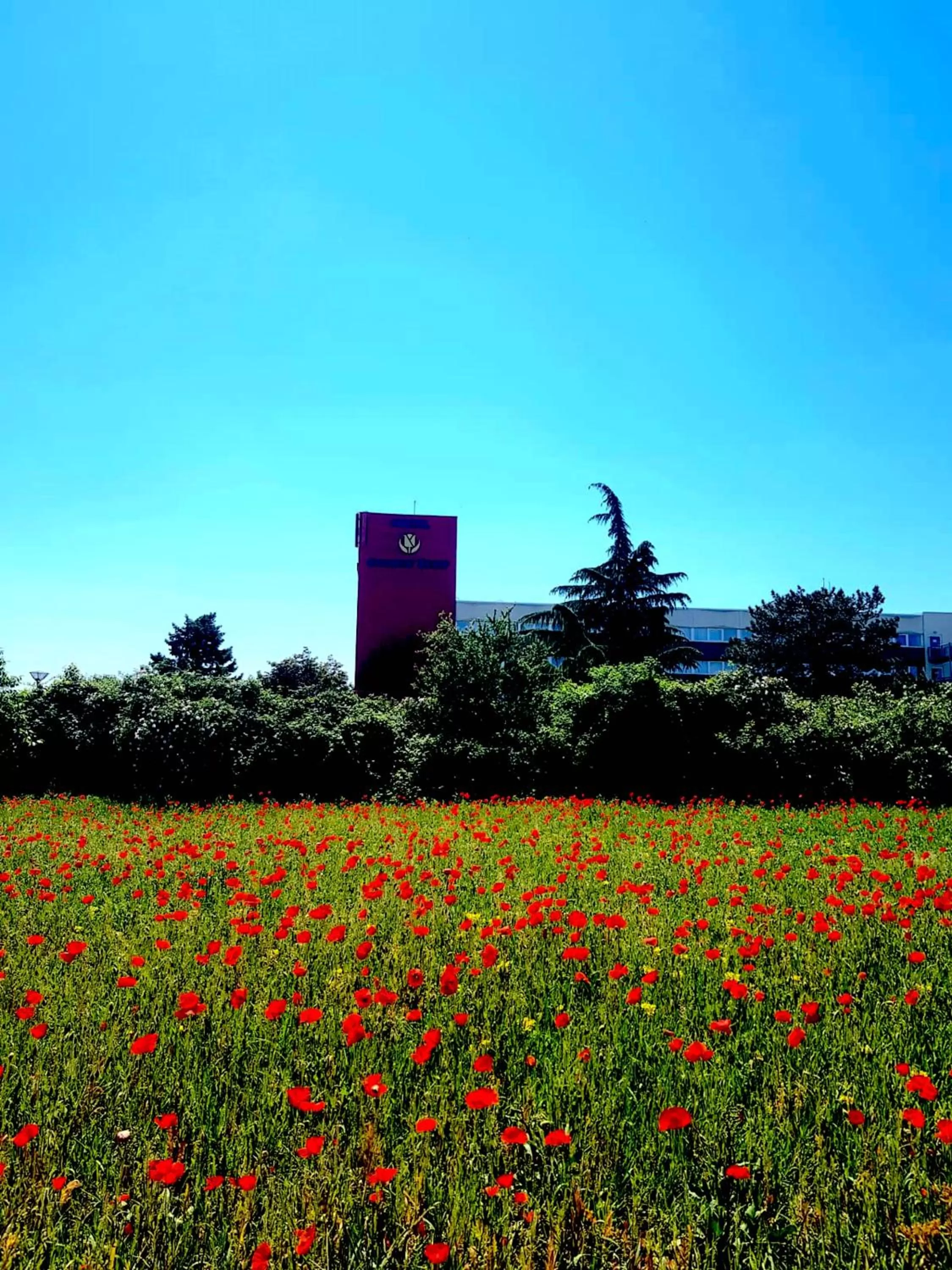 Facade/entrance, Property Building in Golden Tulip Bâle Mulhouse - Hôtel Restaurant