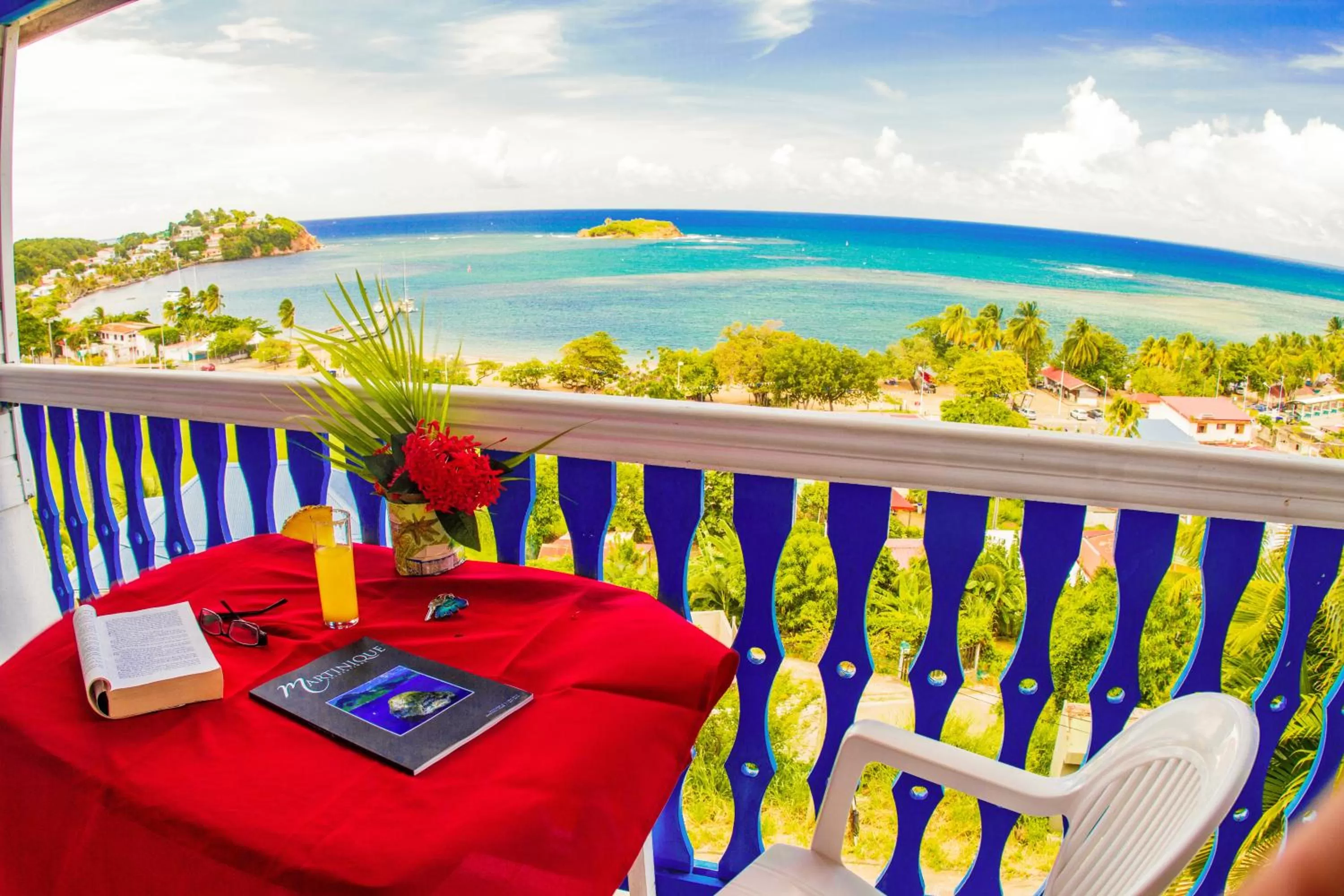 Balcony/Terrace in Hotel Le Manguier