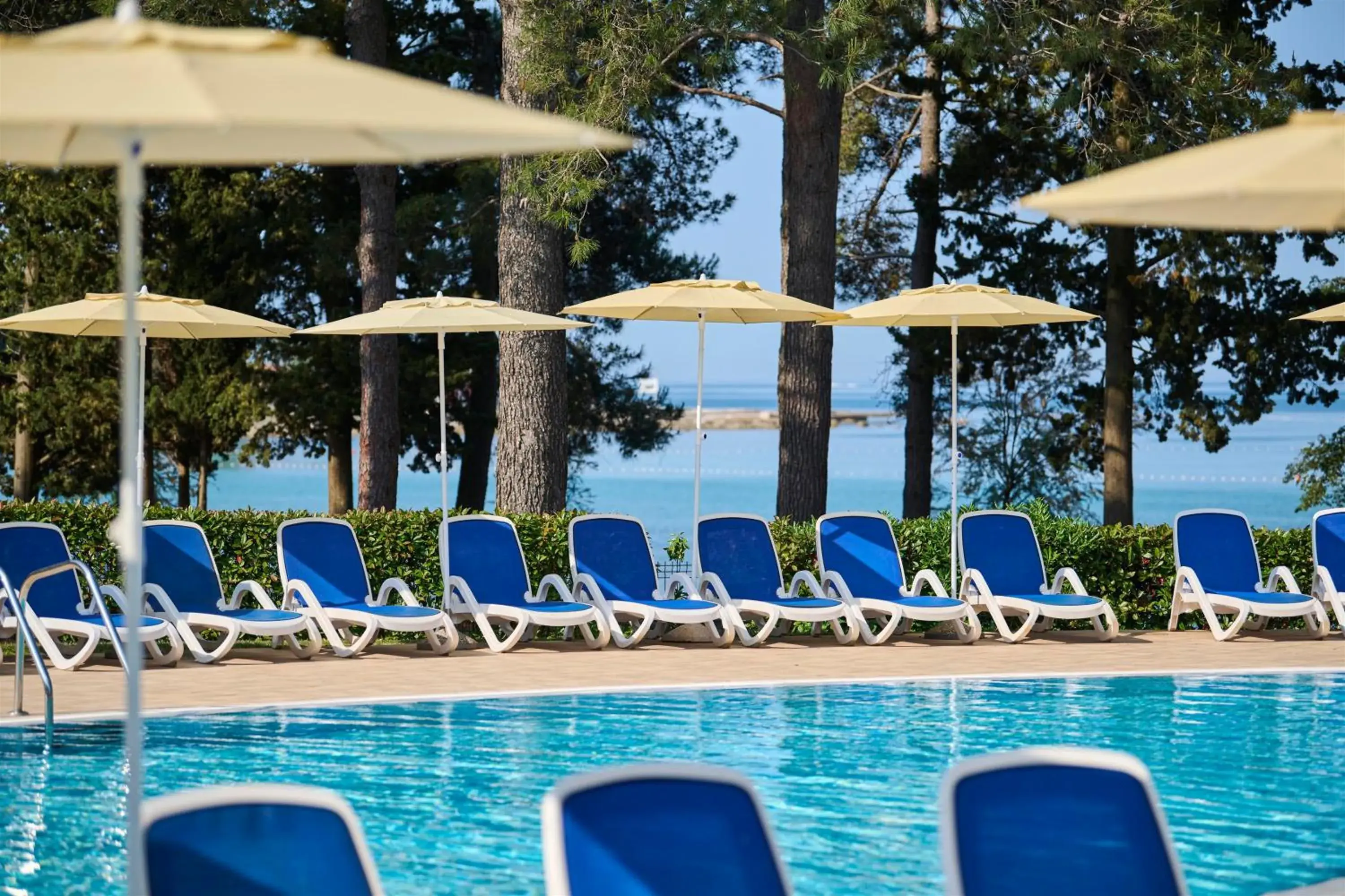 Swimming Pool in Hotel Aurora Plava Laguna