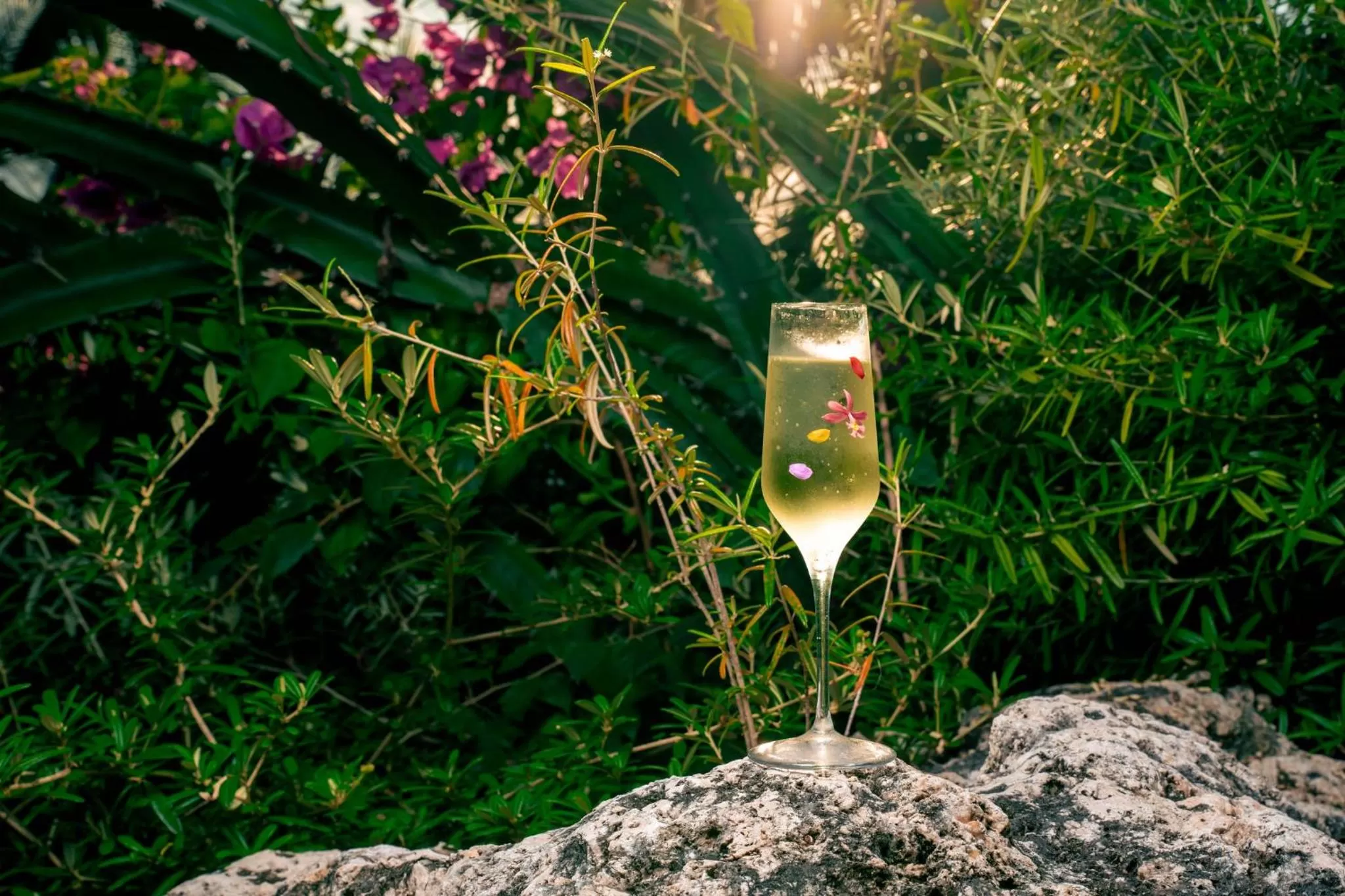 Photo of the whole room in Kimpton Seafire Resort + Spa by IHG