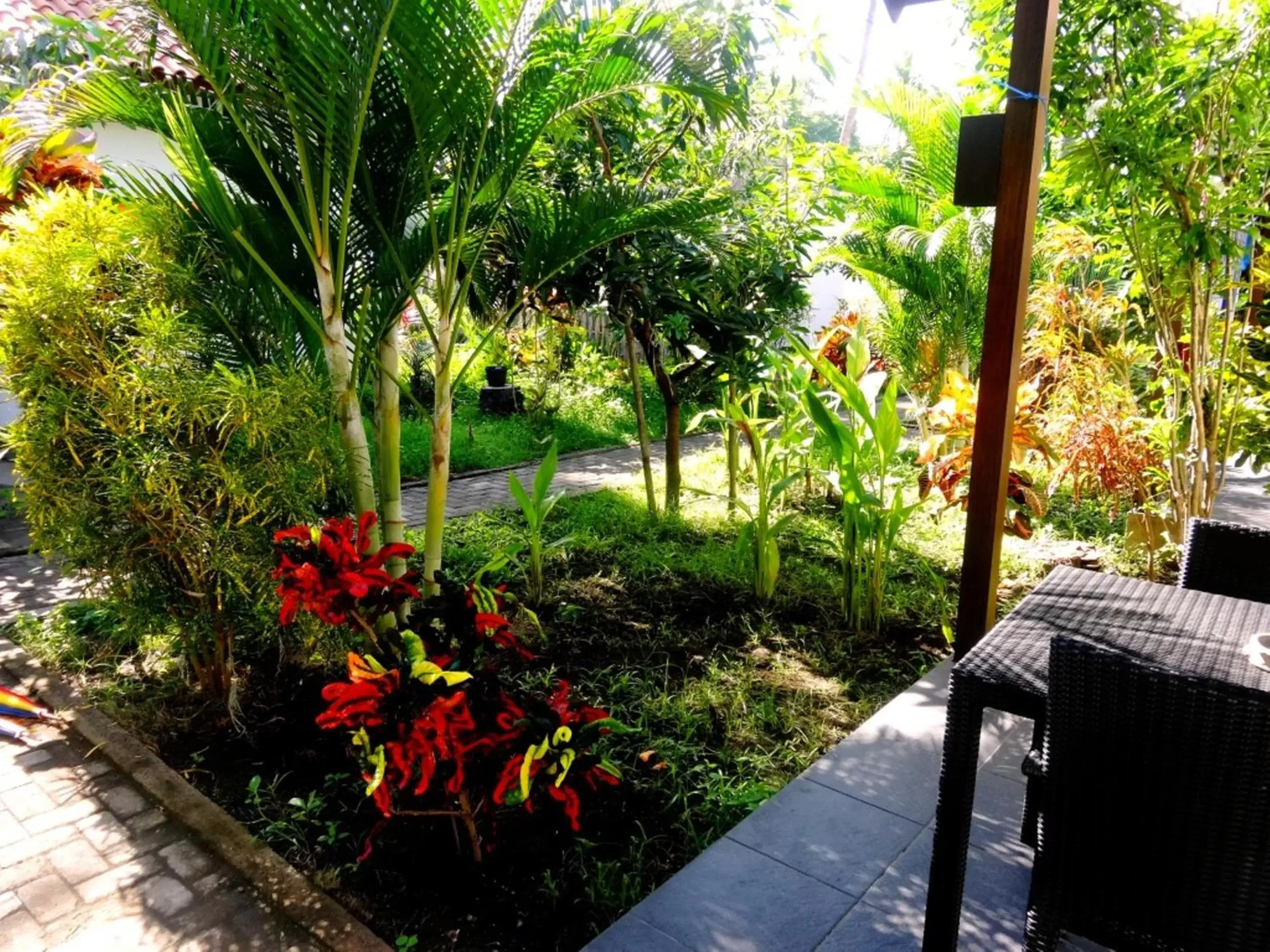 Patio in Oceans 5 Dive Resort