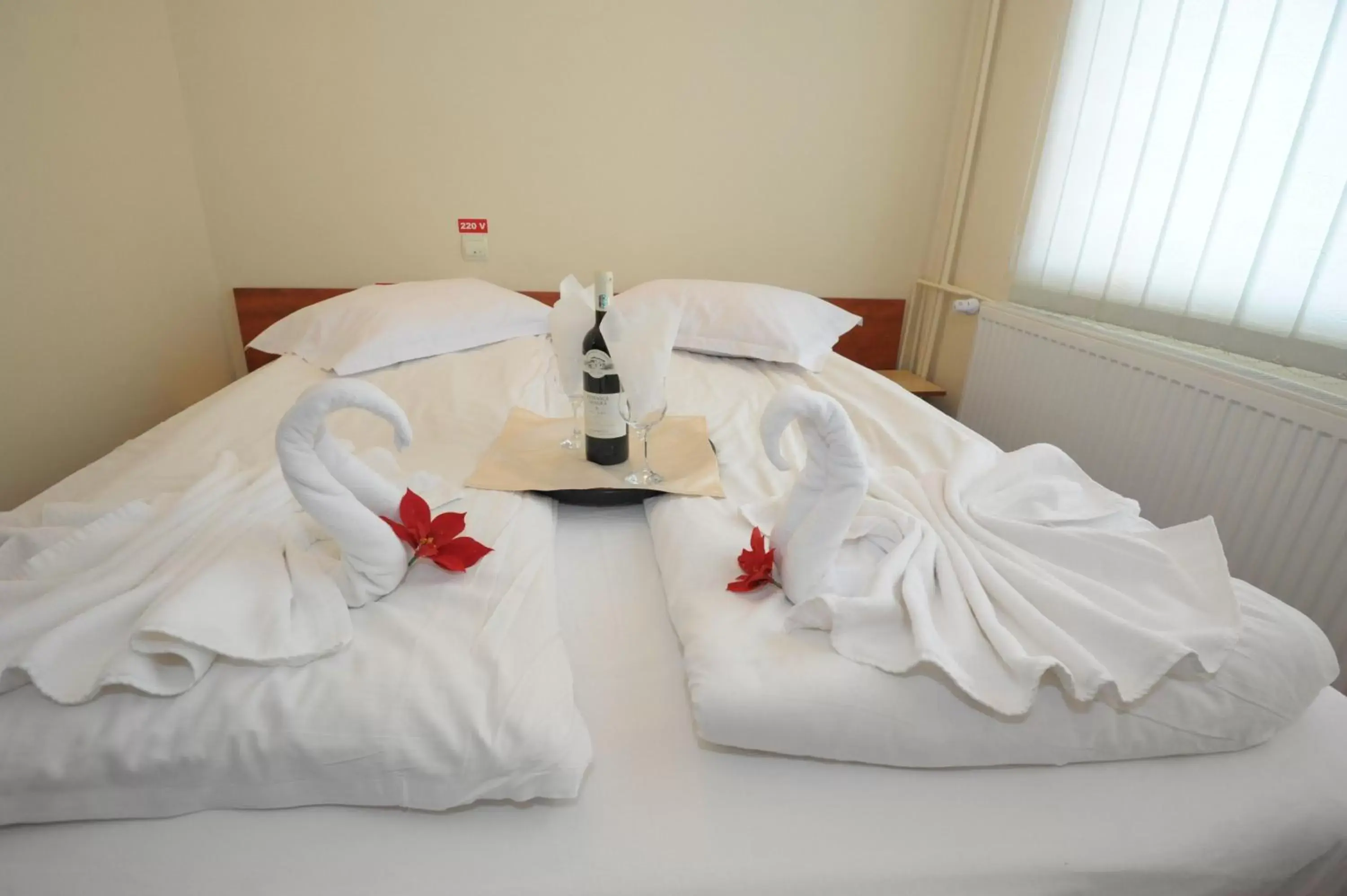 Economy Double Room in Hotel Pin Azuga Economy Double Room in Hotel Pin Azuga