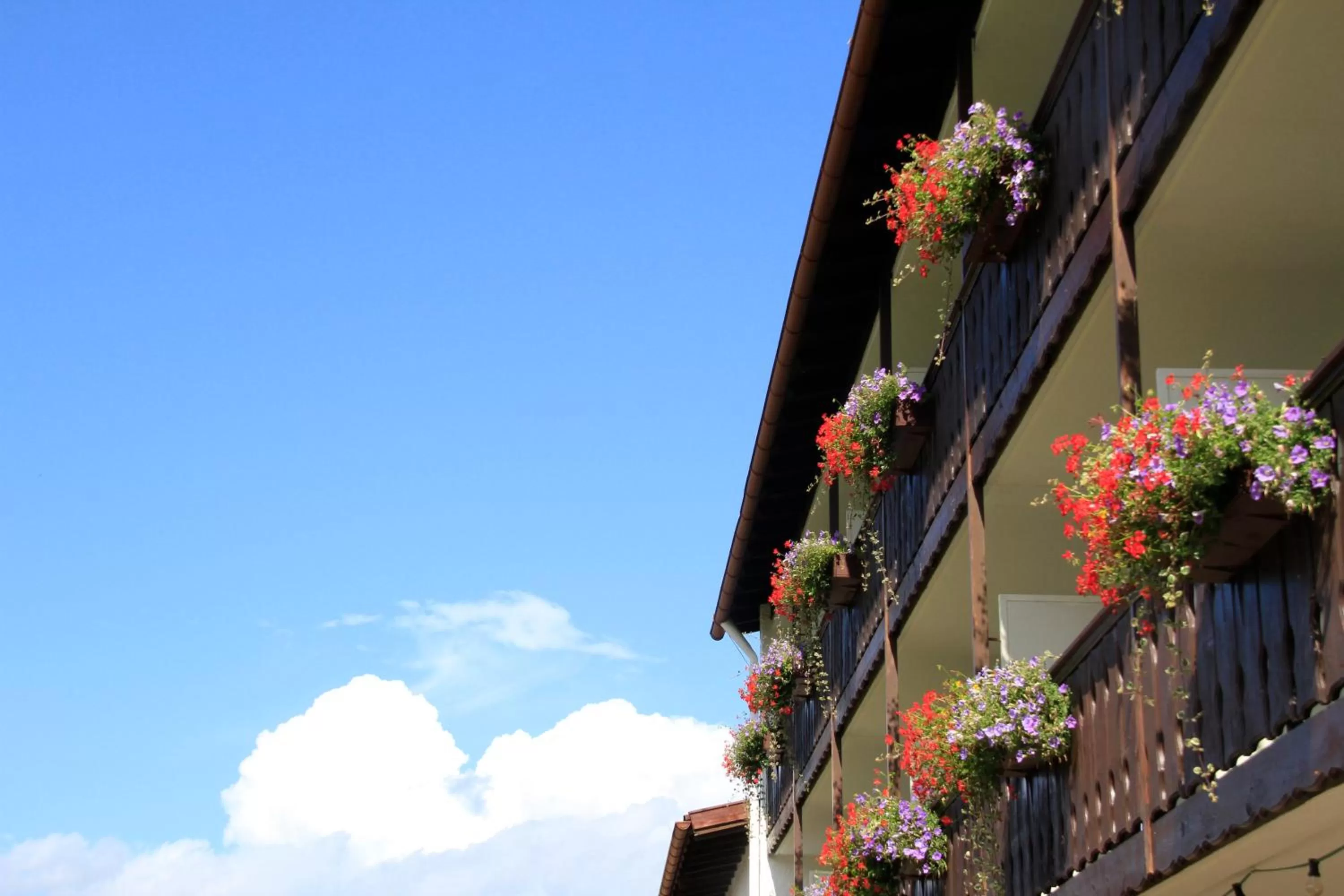 Property building in Hotel Alpenblick Berghof
