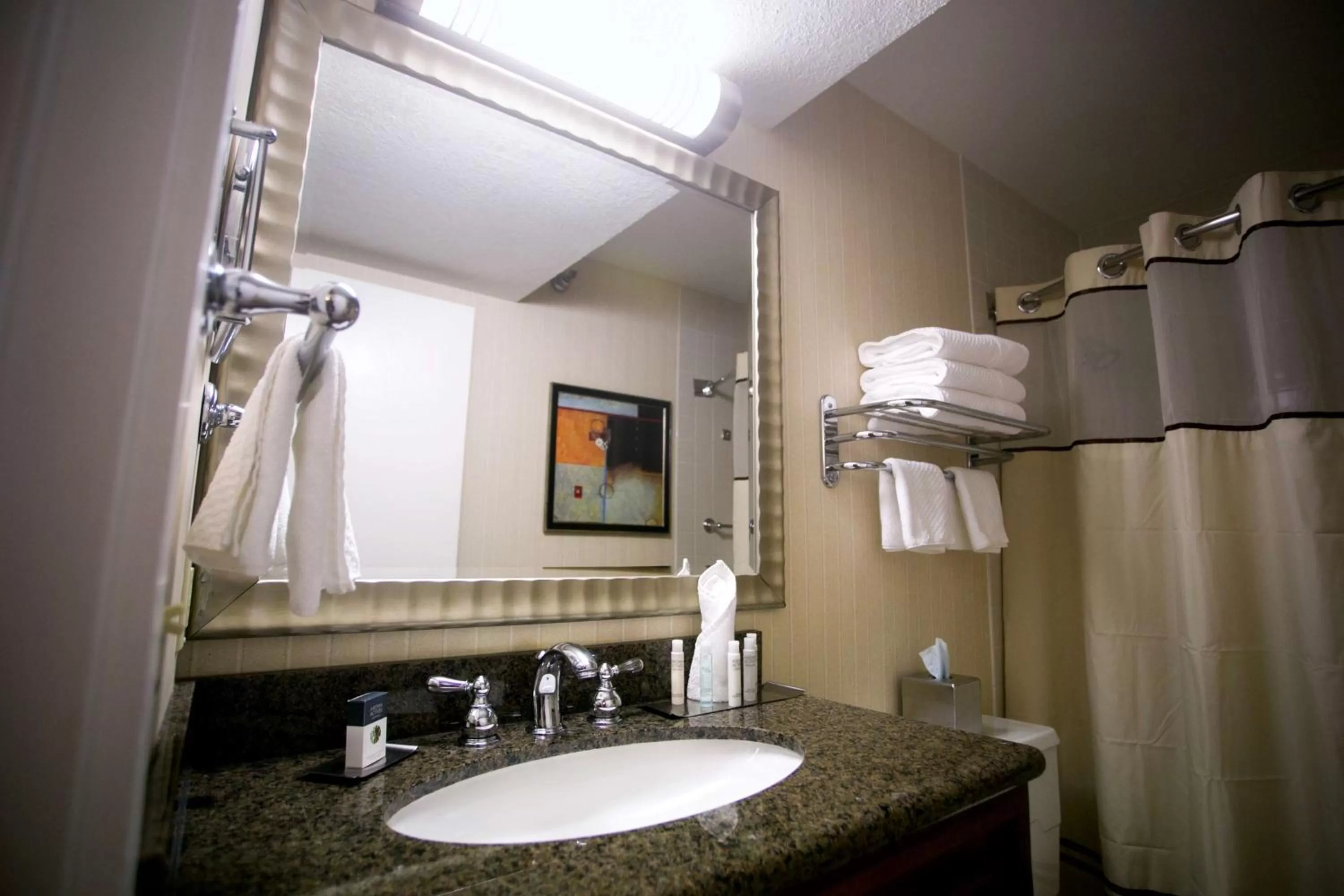 One-Bedroom Double Suite in DoubleTree by Hilton Minneapolis Park Place