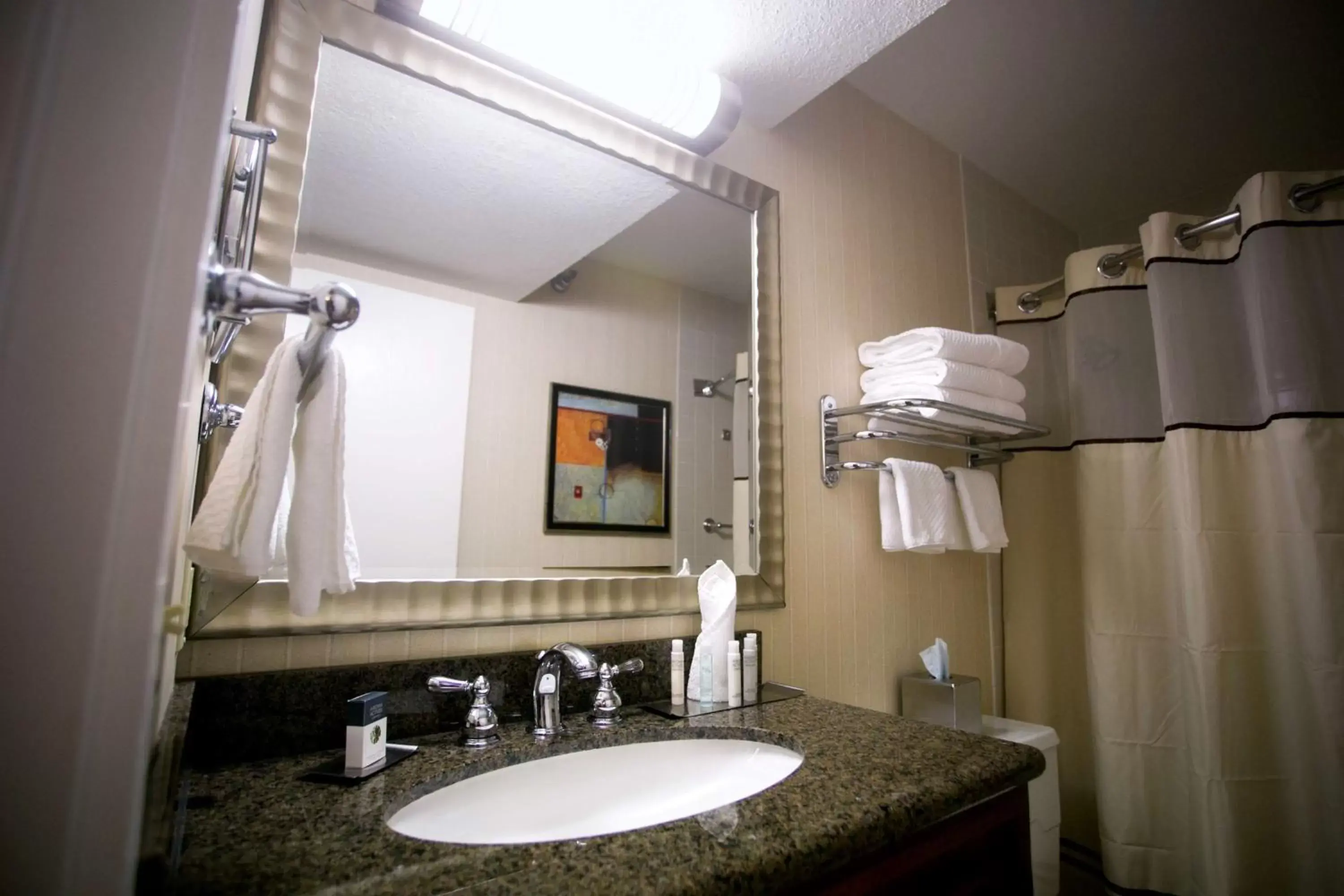 Bed, Bathroom in DoubleTree by Hilton Minneapolis Park Place
