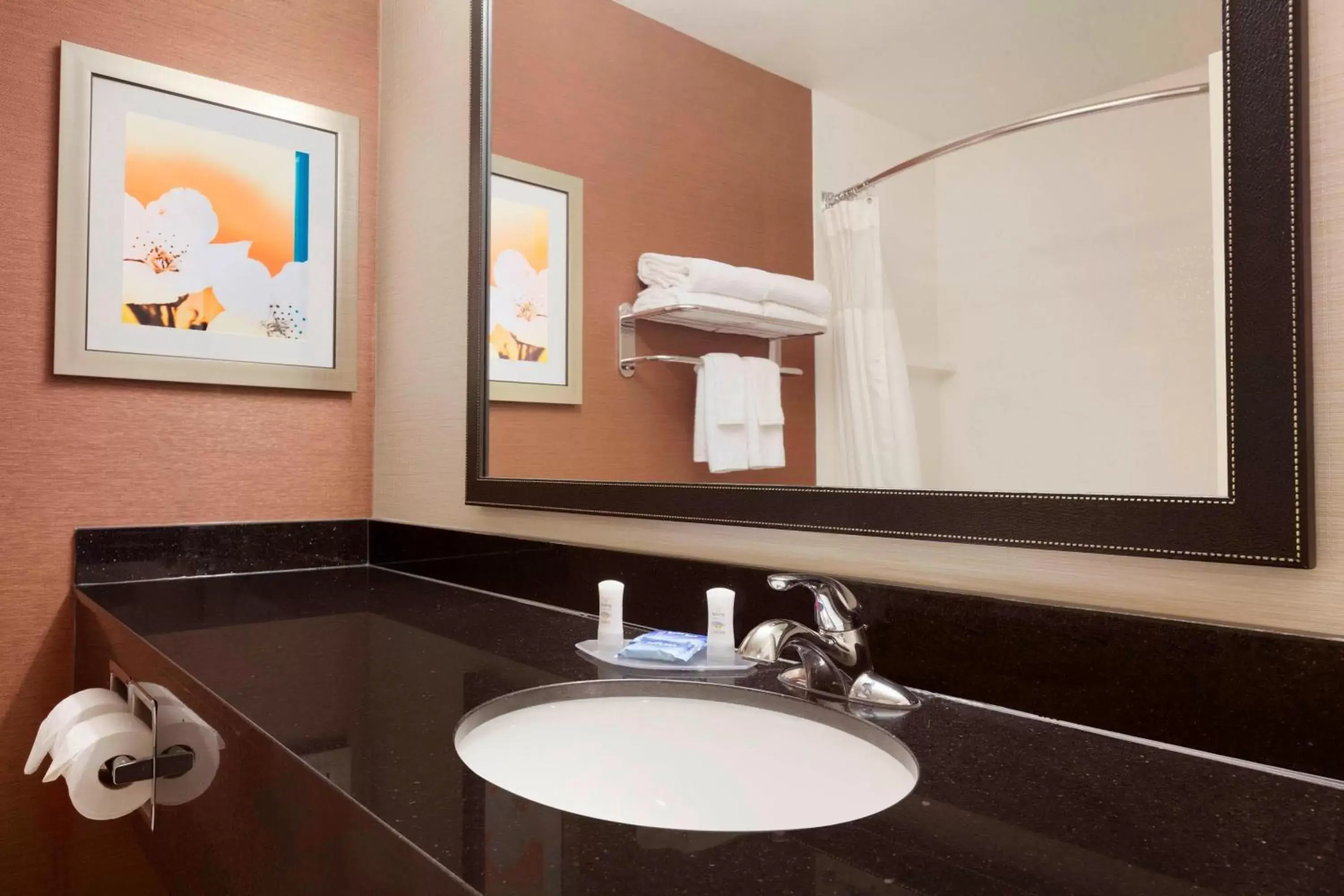 Bathroom in Fairfield Inn & Suites Longview