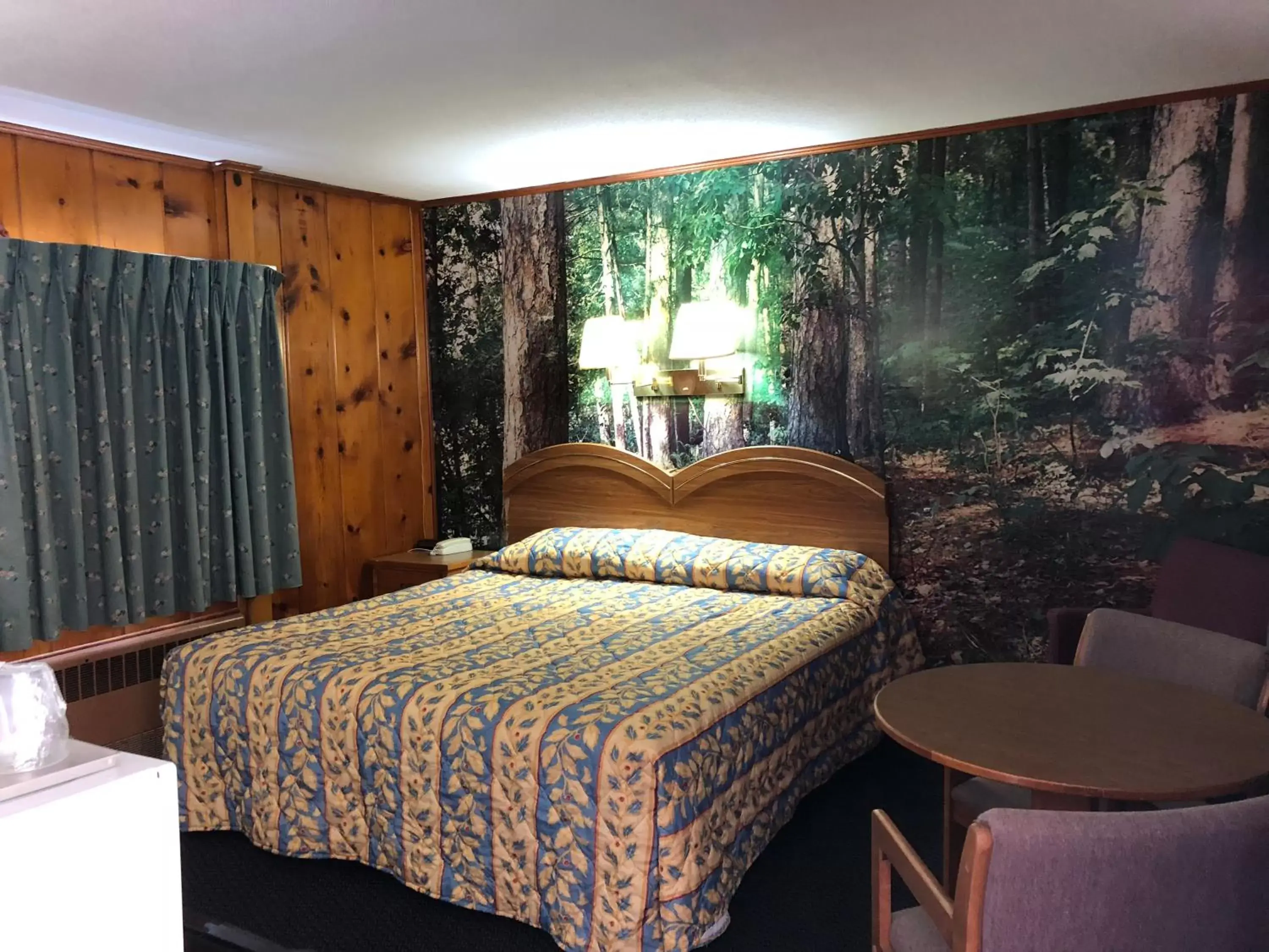 Standard King Room in Sun N Snow Hotel Standard King Room in Sun N Snow Hotel