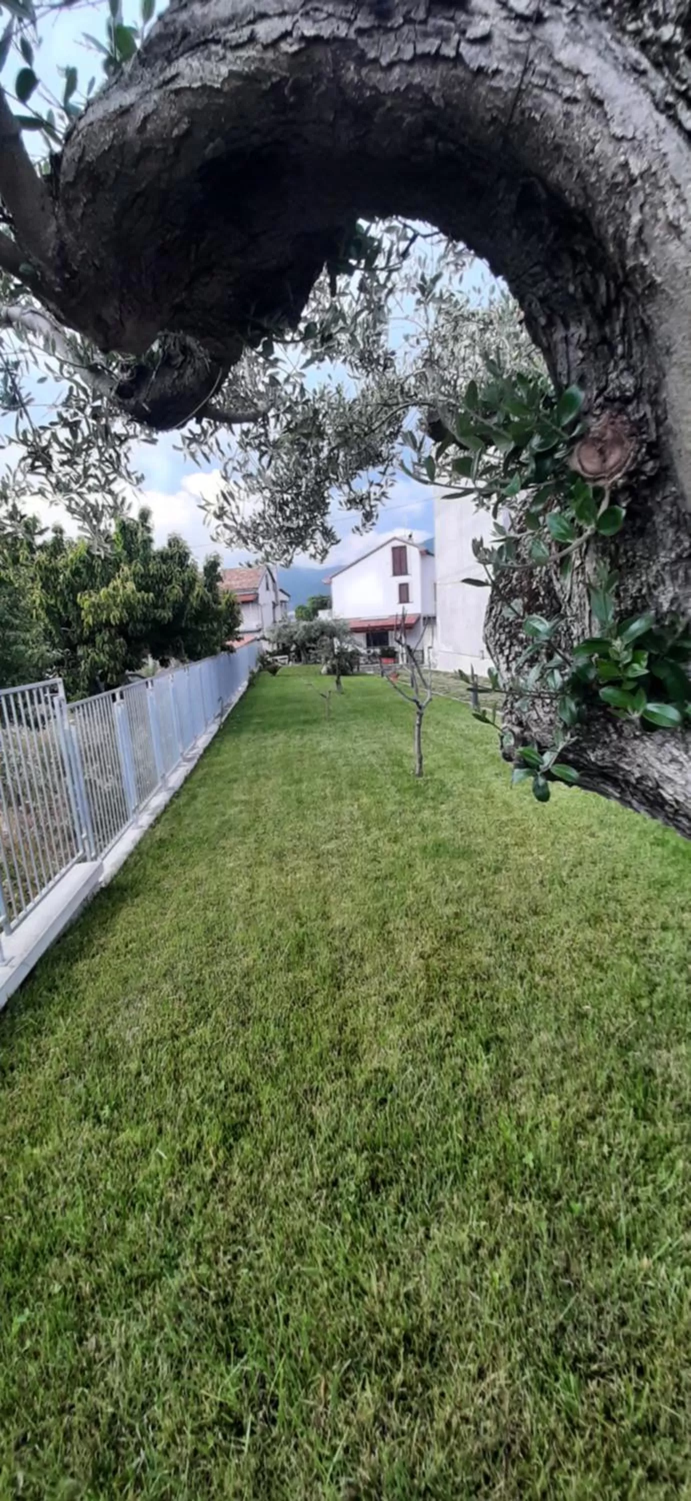 Garden in Al Chiaro di Luna