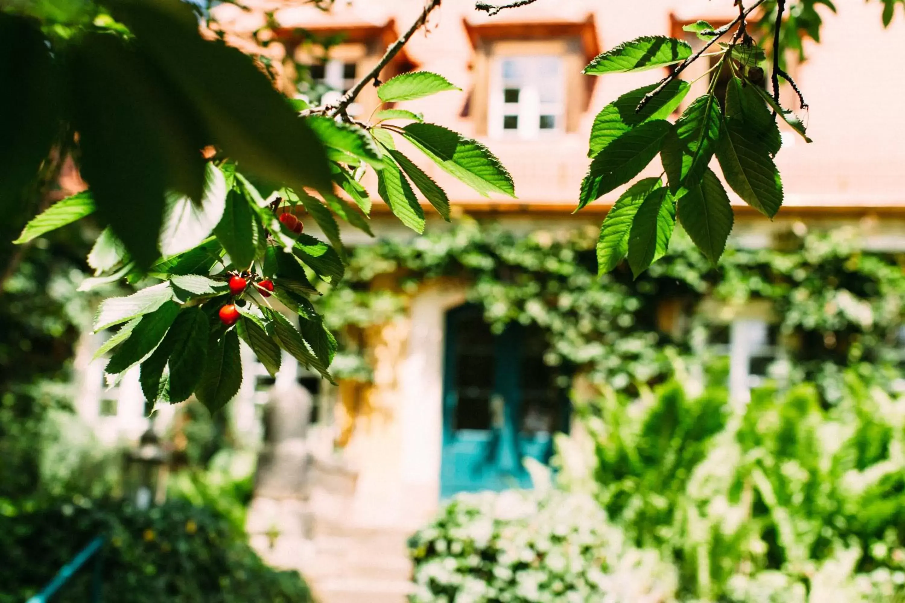 Garden view, Property Building in Hotel Villa Sorgenfrei & Restaurant Atelier Sanssouci