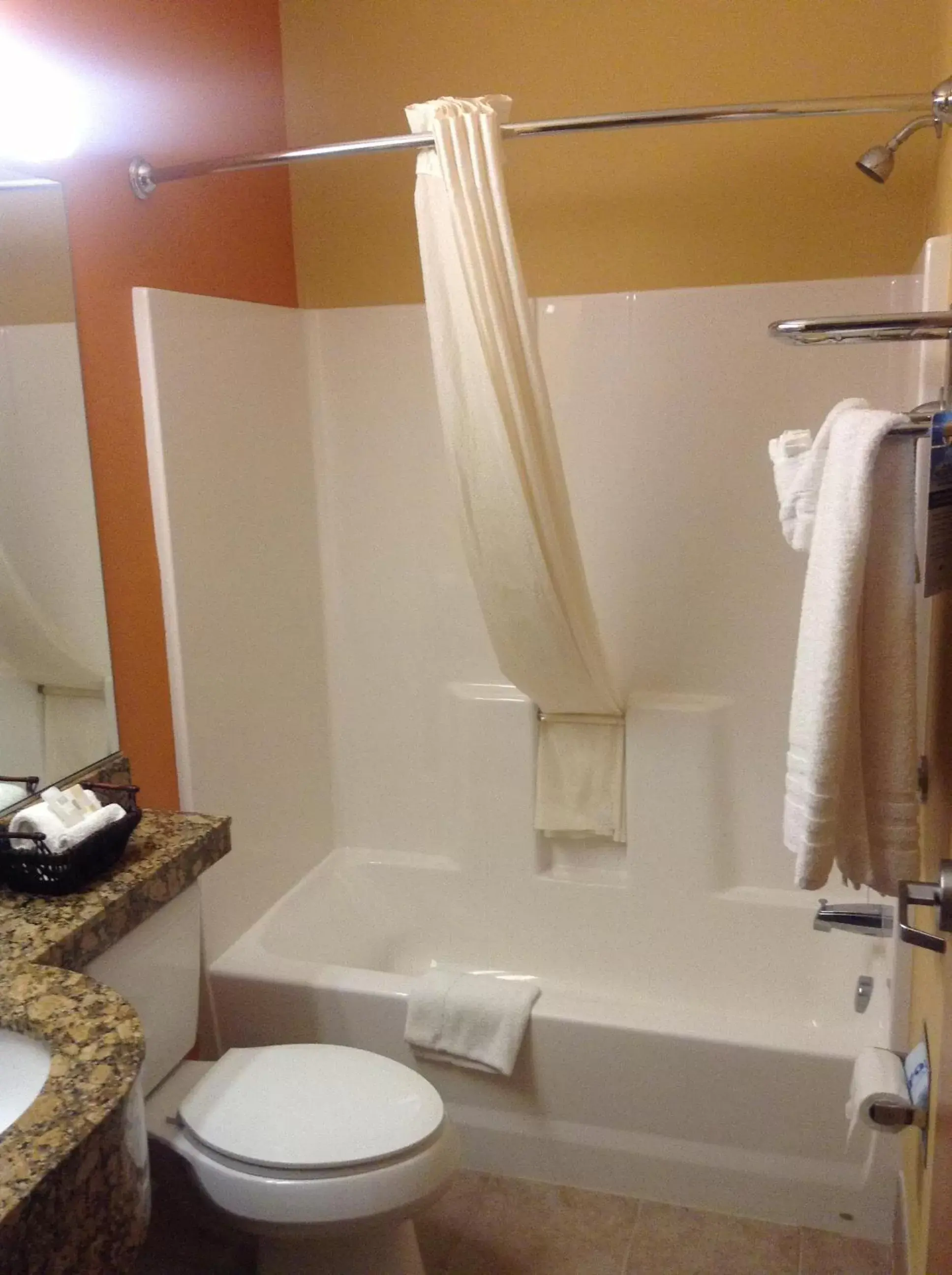 Bathroom in Microtel by Wyndham South Bend Notre Dame University