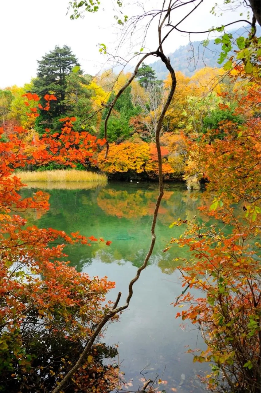 Area and facilities in Yumoto Itaya